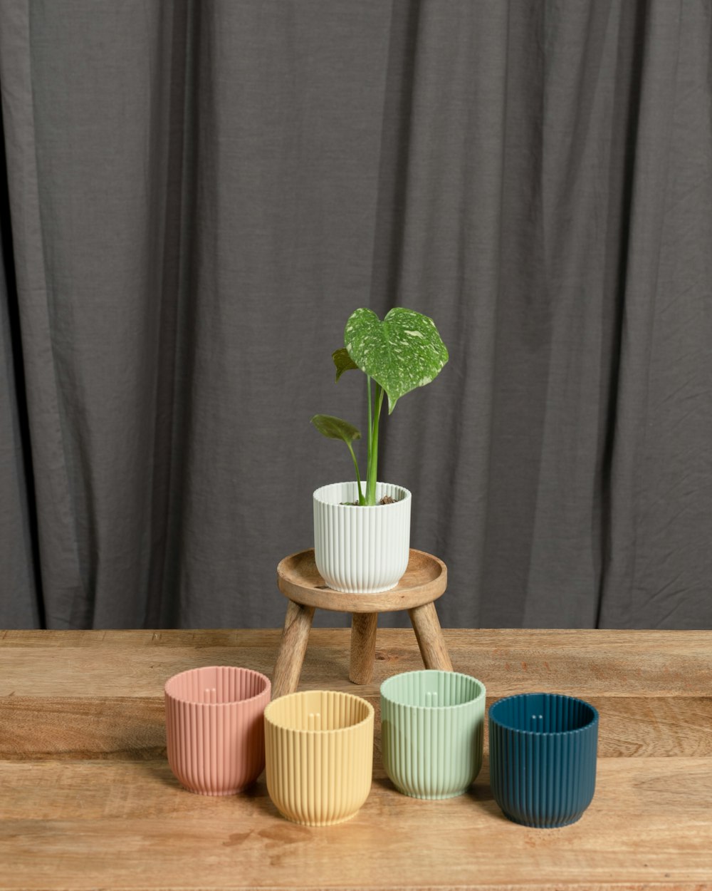 a small potted plant sitting on top of a wooden table