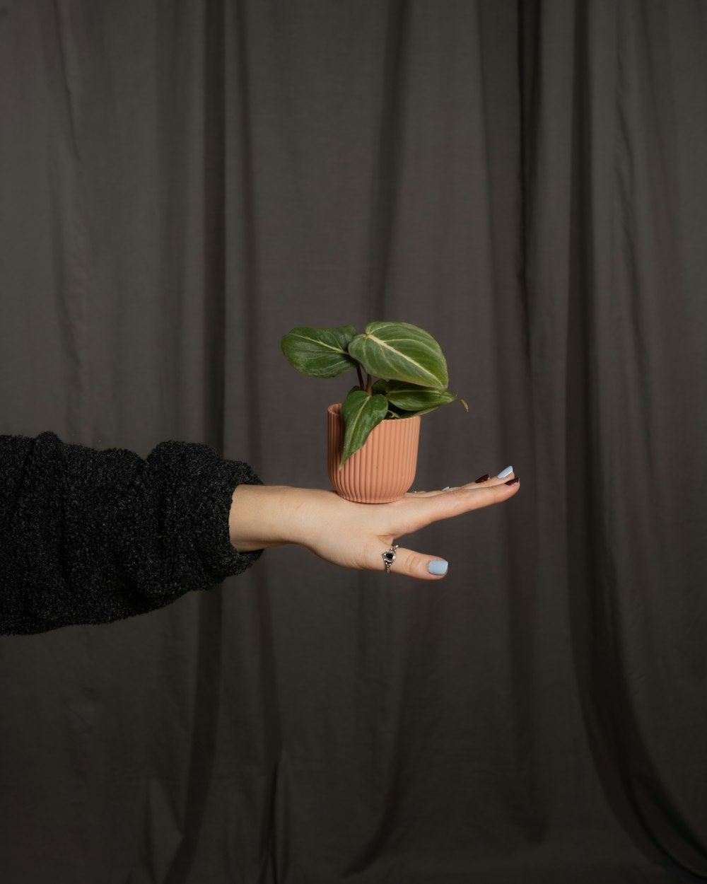 a person holding a plant in their hand