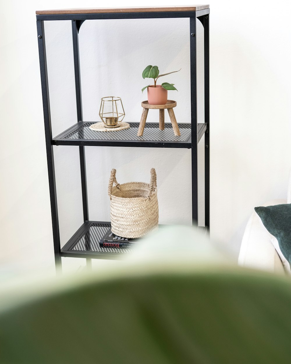 a shelf with a potted plant on top of it