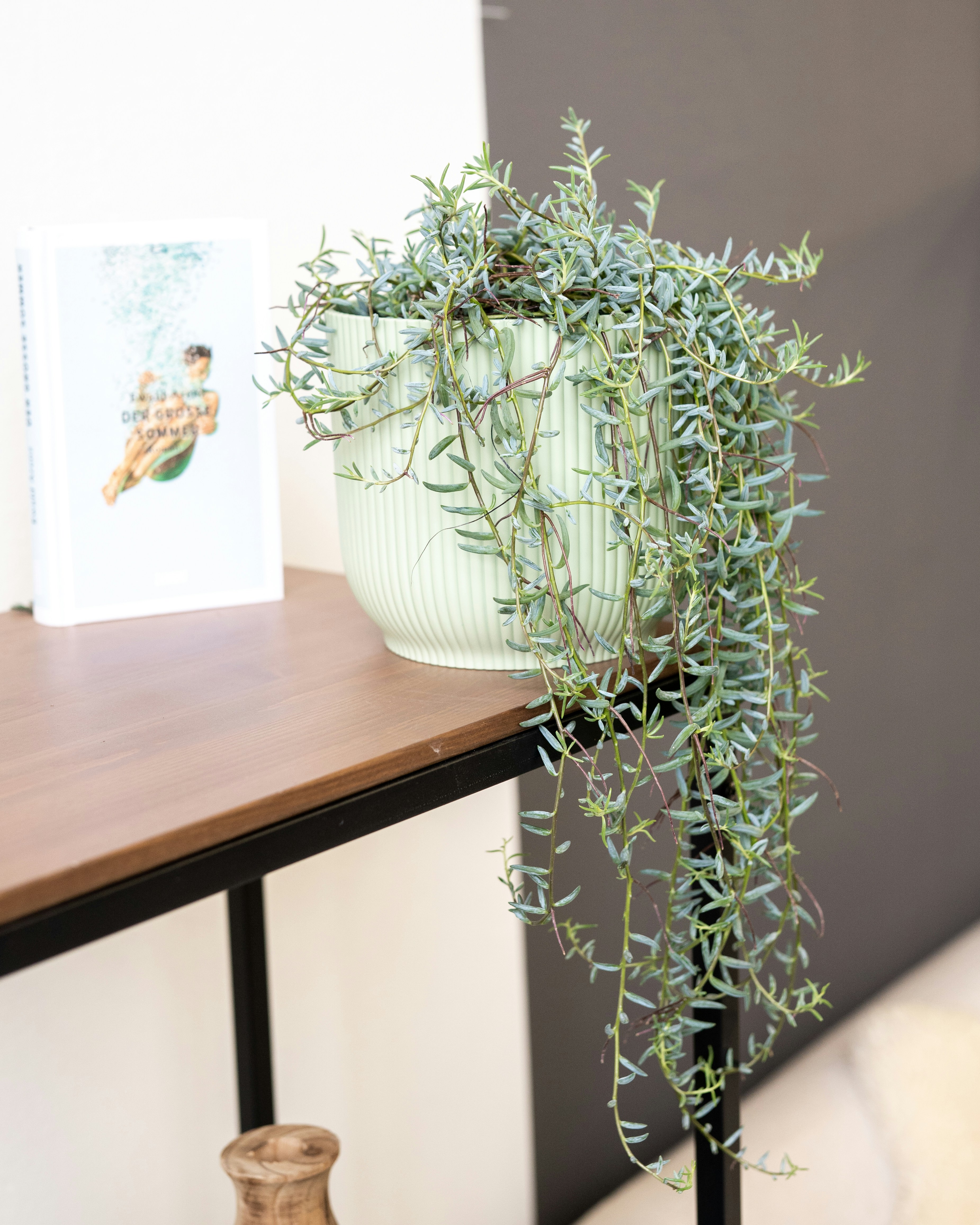 Photo by feeypflanzen