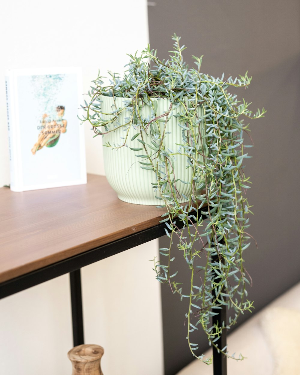 a potted plant sitting on top of a wooden table