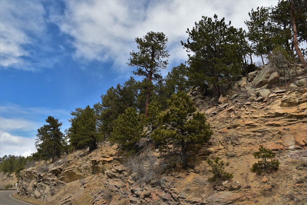 une vue panoramique d’une route de montagne avec des arbres sur le côté