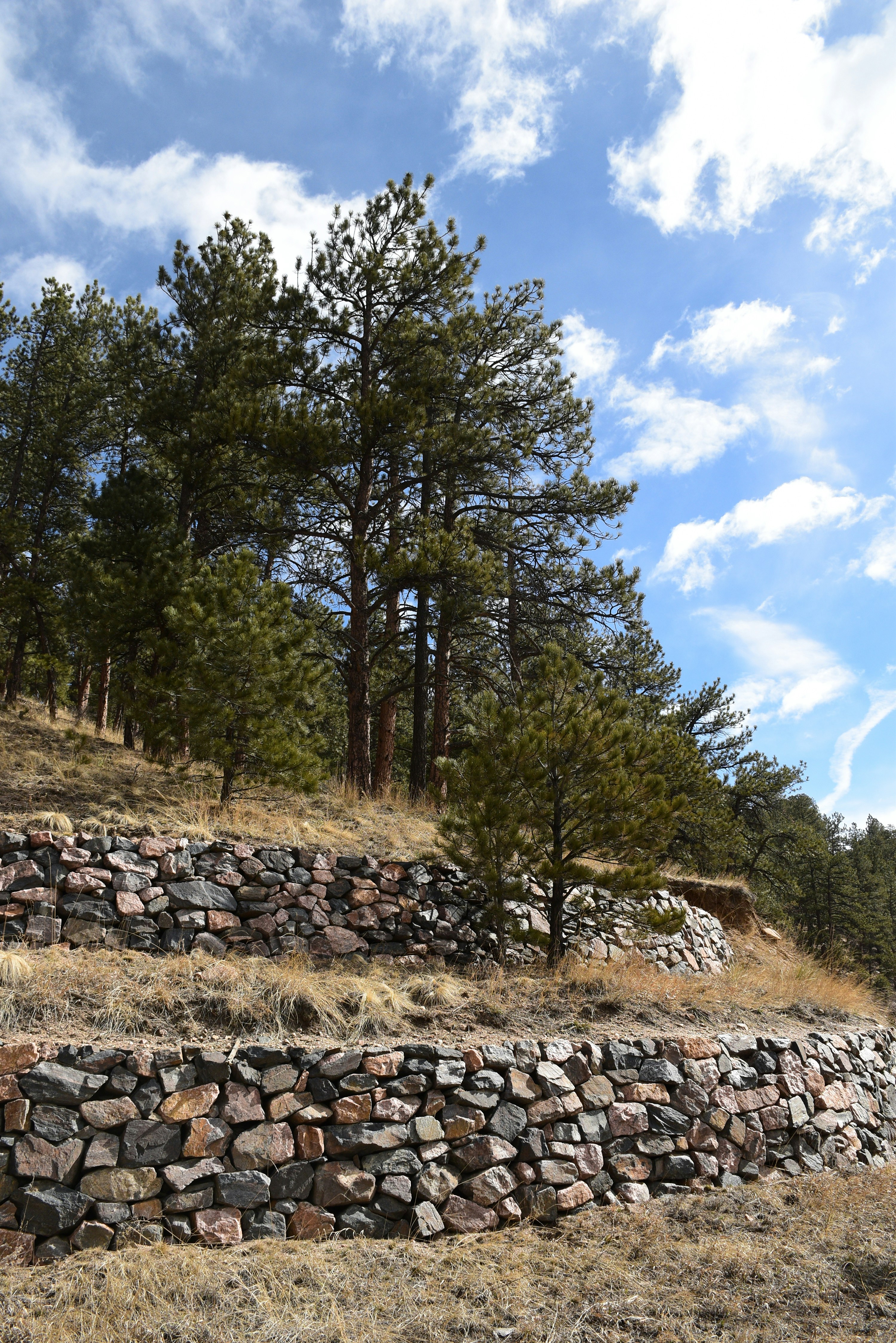 Natural stone retaining wall in a mountain landscape with native plantings and evergreen backdrop