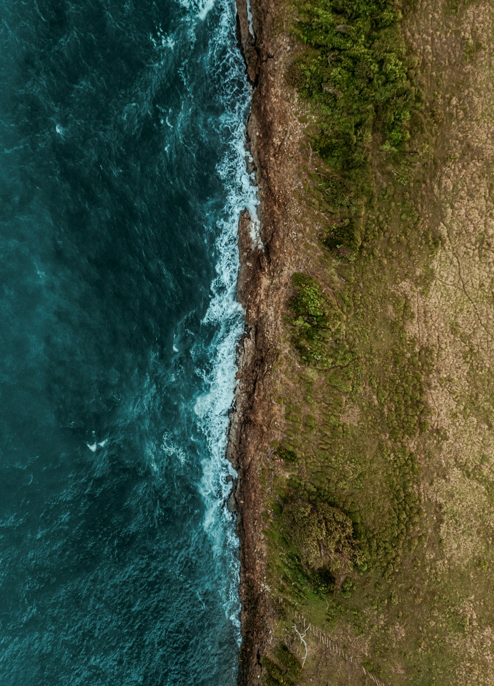 a bird's eye view of the ocean and land