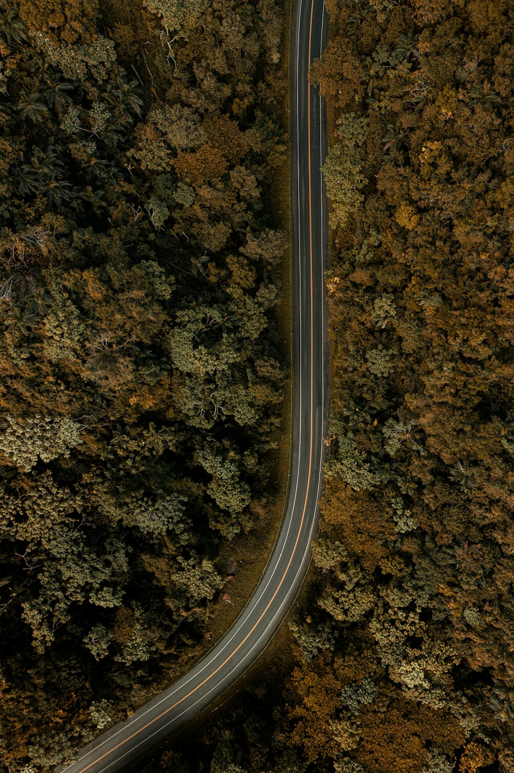 an aerial view of a road in the middle of a forest