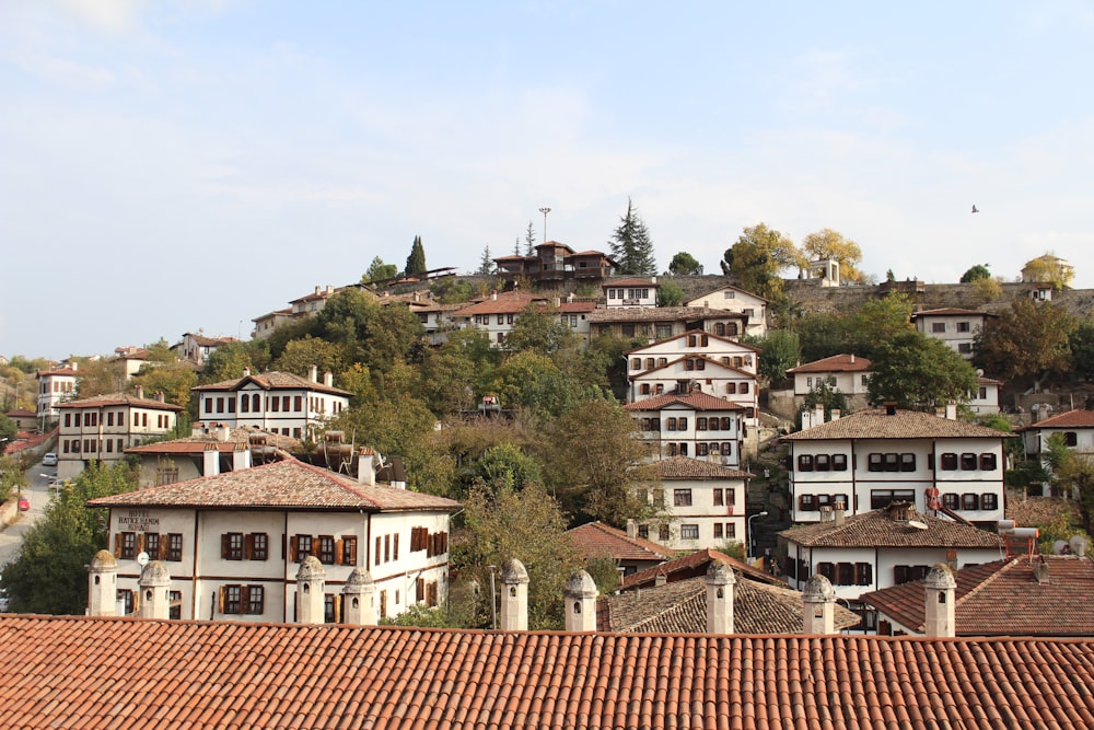 a group of houses on a hill with trees in the background