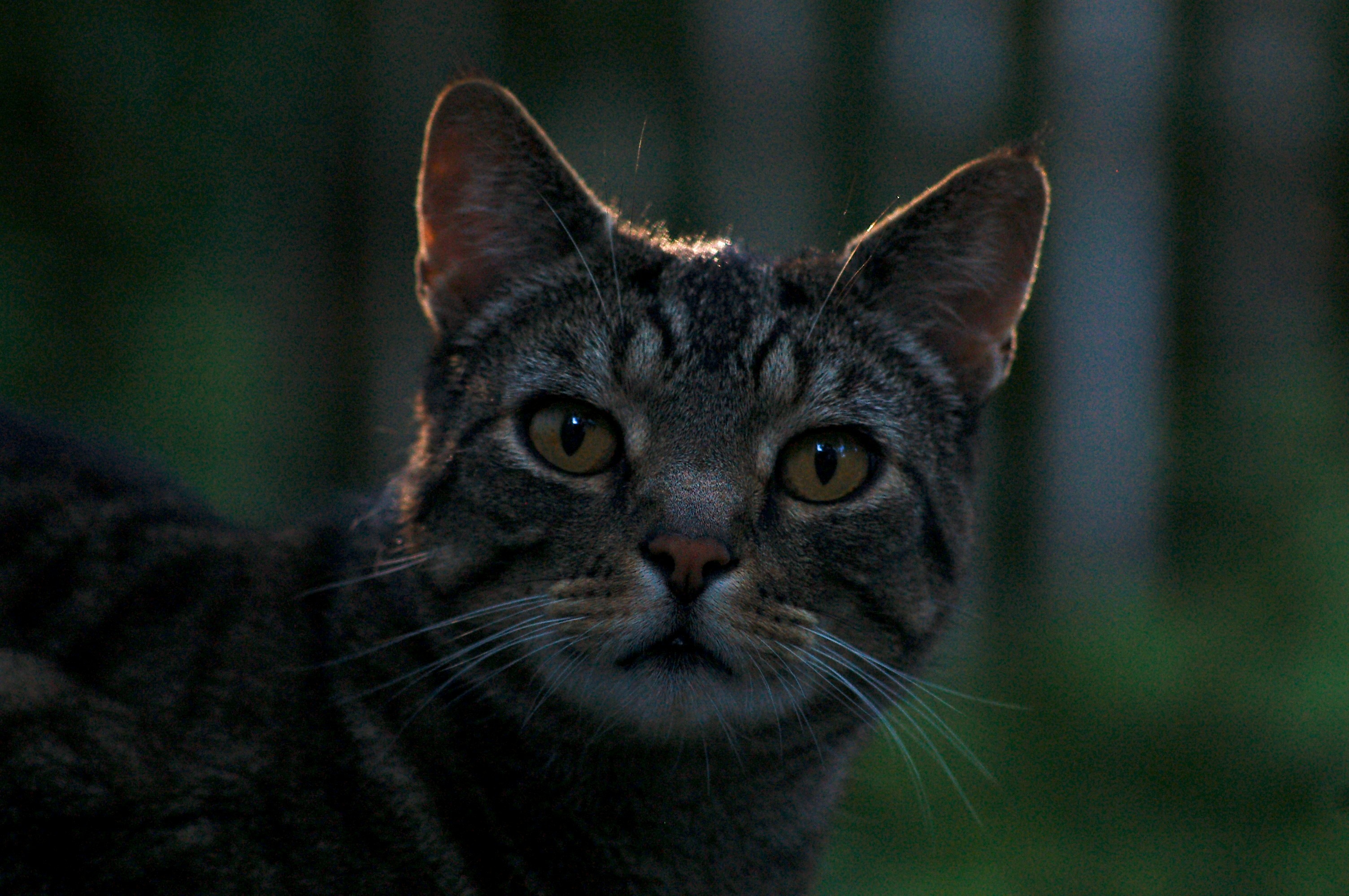 Photo by kawaivandenelzen