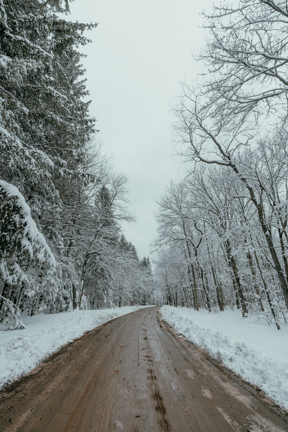 a dirt road surrounded by snow covered trees