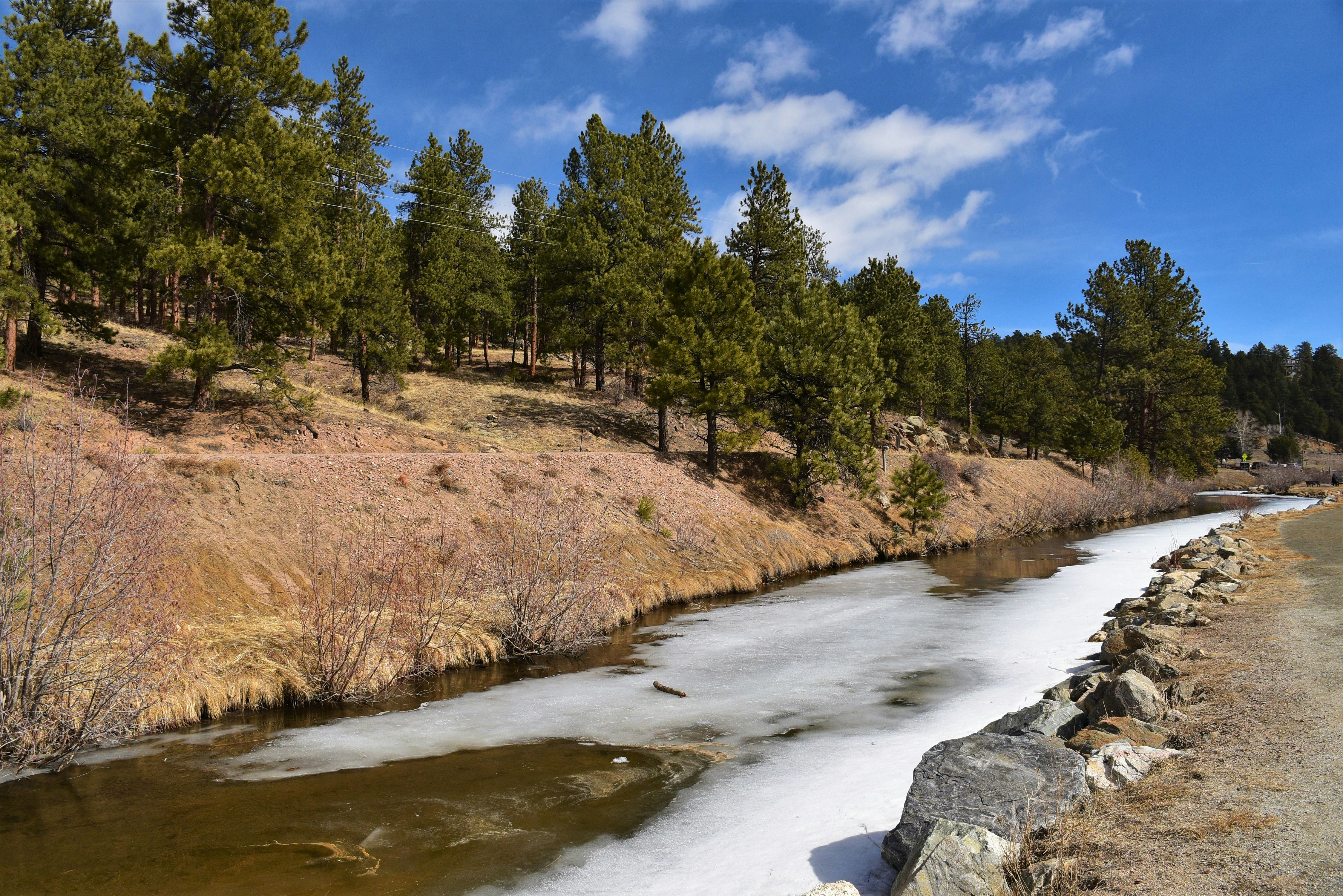 Library at Co-Op Academy
