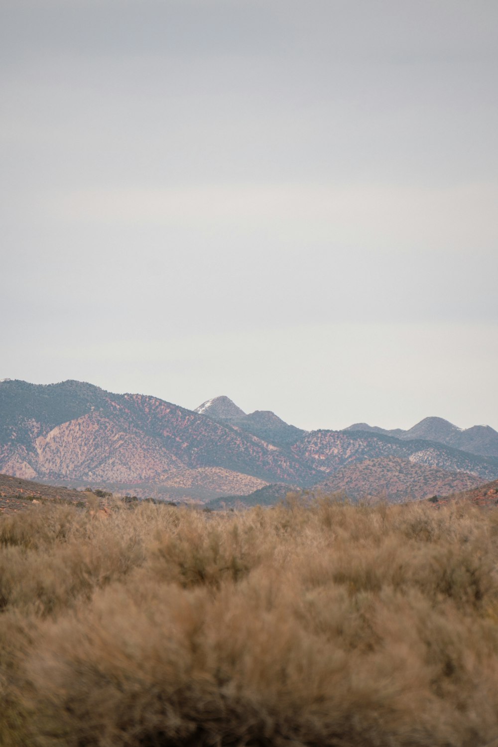 a view of a mountain range from a moving train