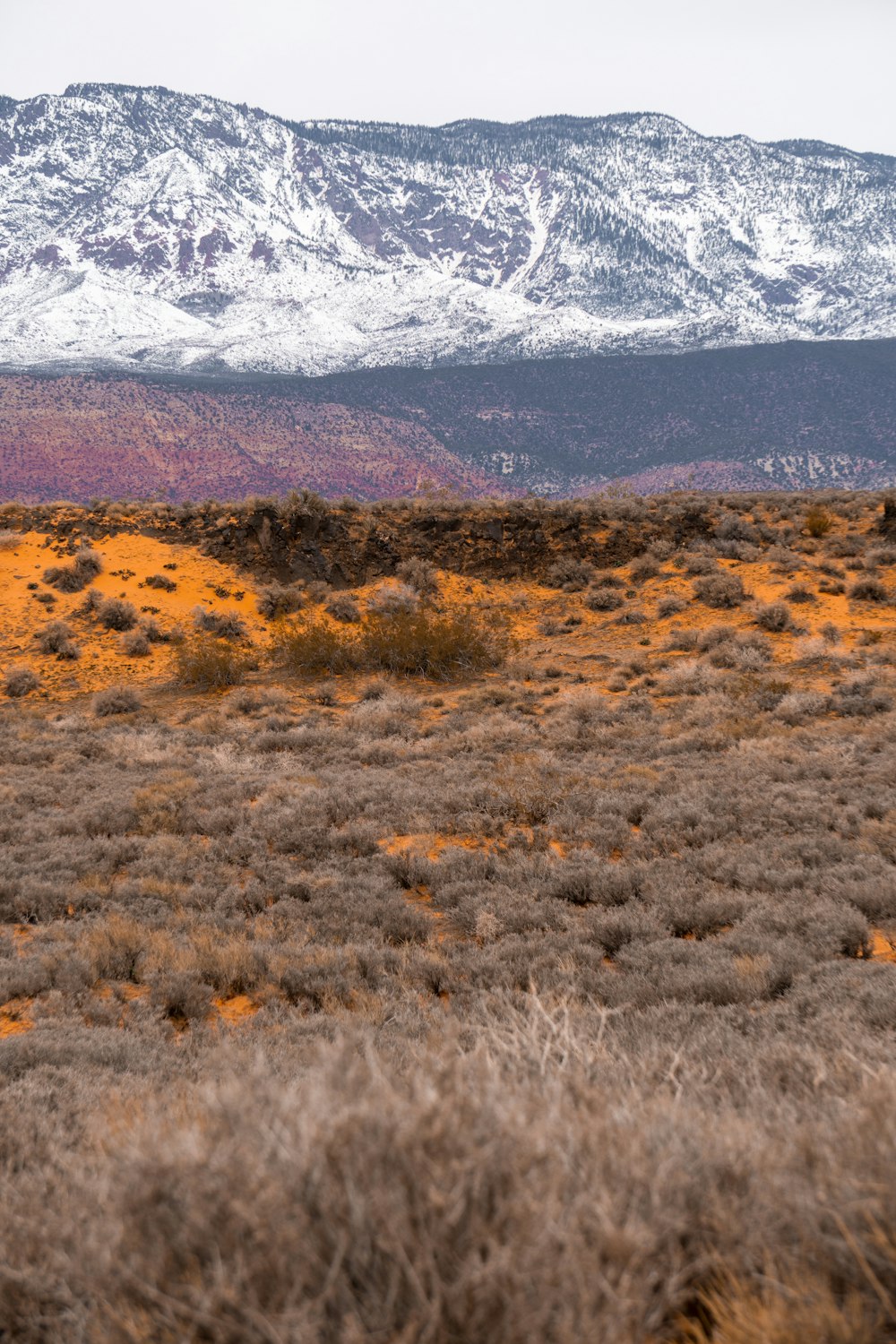 a field with a mountain in the background