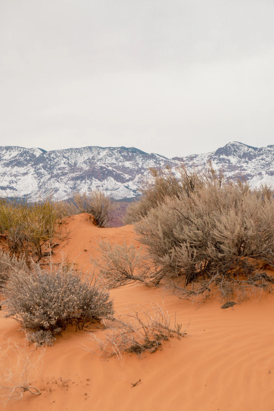 The image depicts a desert landscape with a mix of red sand dunes and shrubs, set against a backdrop of snow-capped mountains. The sky above is overcast, casting a soft light on the scene below. The perspective suggests that the viewer is looking up at the towering mountains from a lower vantage point, creating a sense of grandeur and scale.