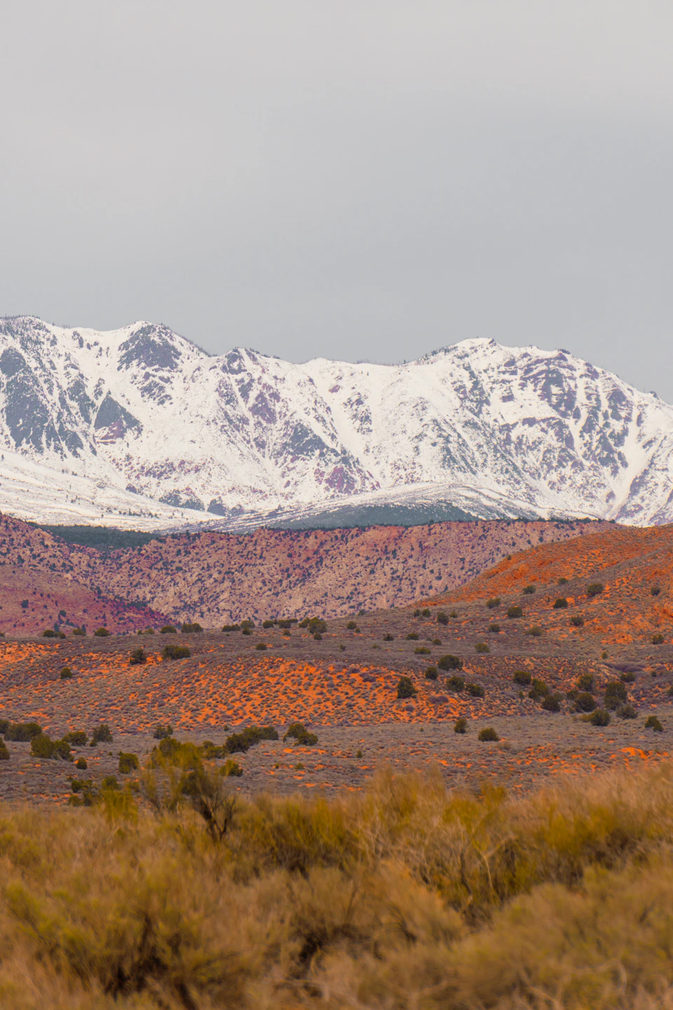 The image depicts a breathtaking view of a mountain range under a cloudy sky. The mountains, blanketed in snow, rise majestically against the backdrop of an overcast day. Their peaks are partially obscured by clouds, adding depth and dimension to the scene. The mountains are nestled amidst a landscape of dry grass and shrubs, creating a striking contrast between the rugged terrain and the softer elements of nature.

The sky above is filled with clouds, casting a soft light that illuminates the snow-capped peaks. The colors in the image are predominantly gray and white, reflecting the cloudy weather conditions. However, there are also hints of orange and brown hues present, adding warmth to the otherwise cool palette.