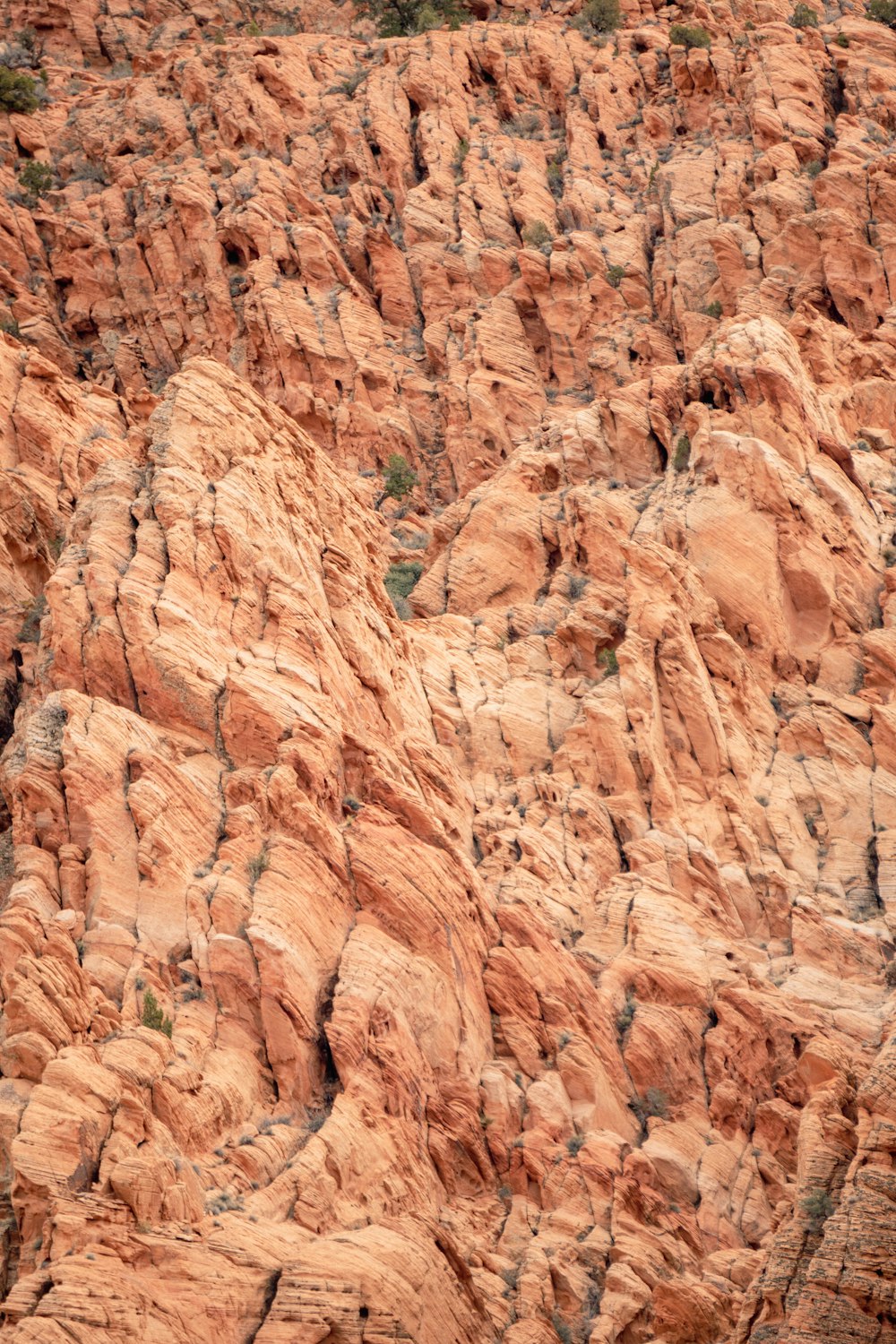 a bird is perched on a rock formation