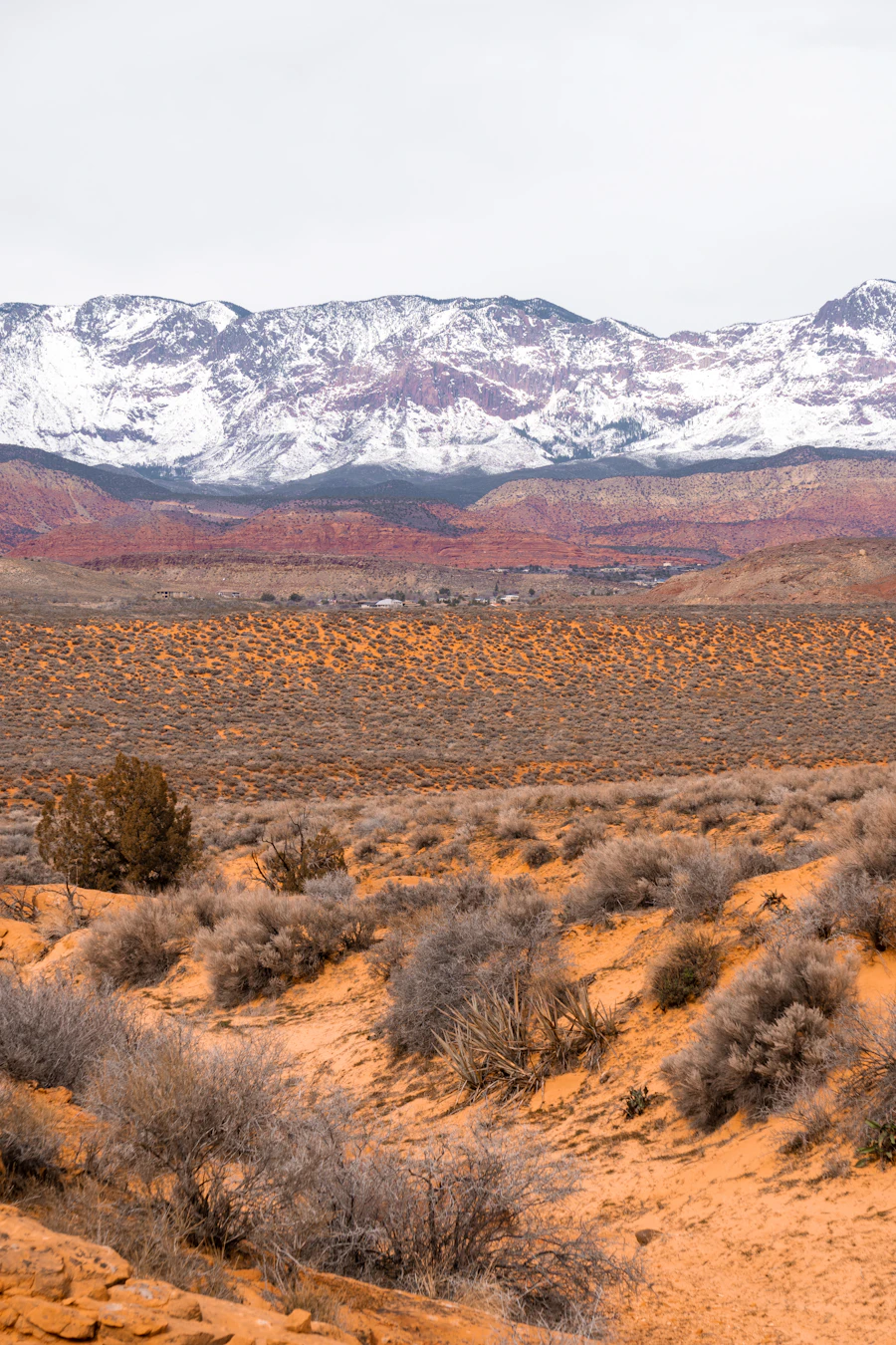 Desert landscape beneath the red cliffs of Red Rock Canyon