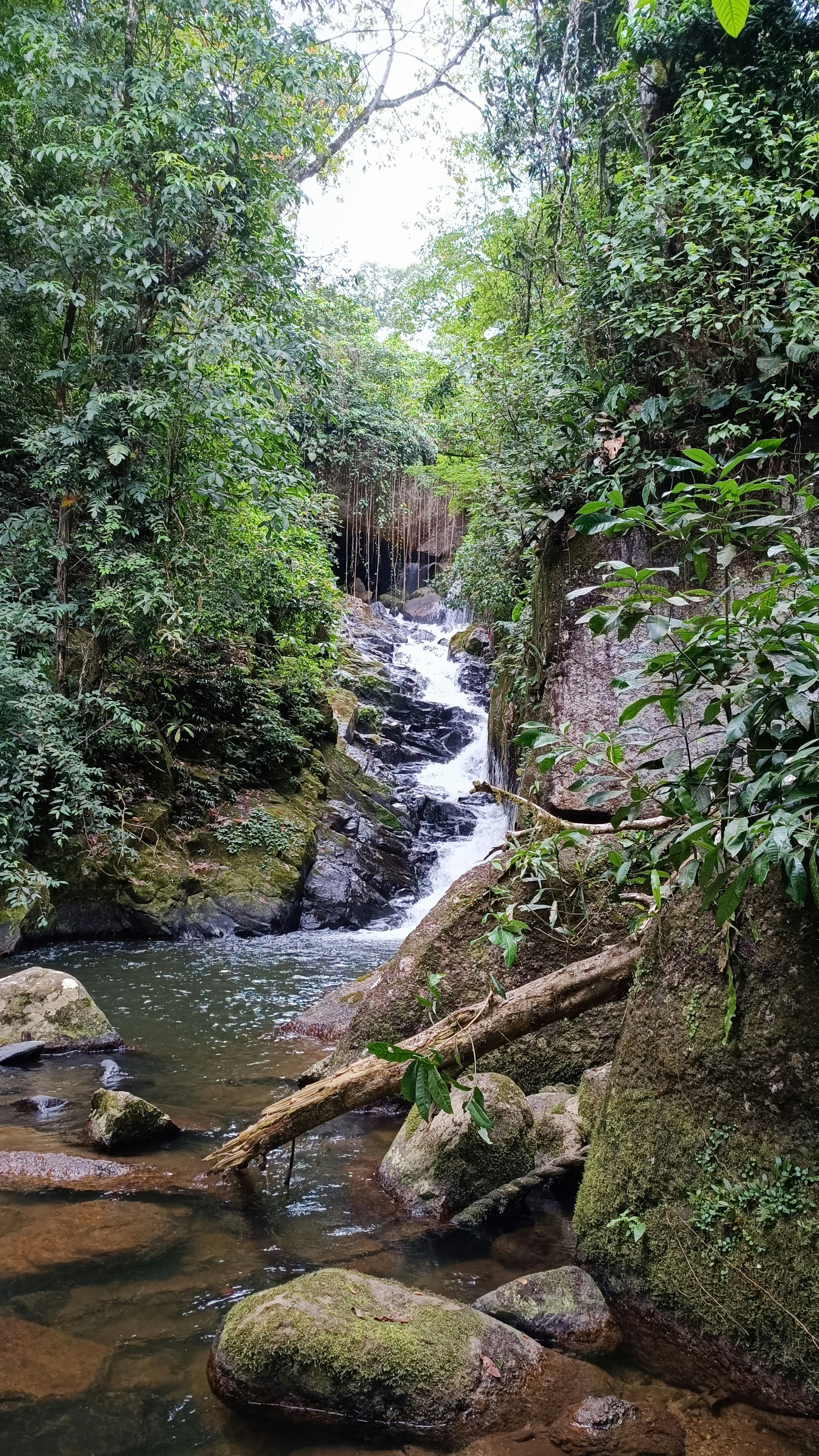 Level 3 - Single Pax/Group + RM40/Guide