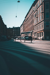 a park bench sitting in the middle of a street