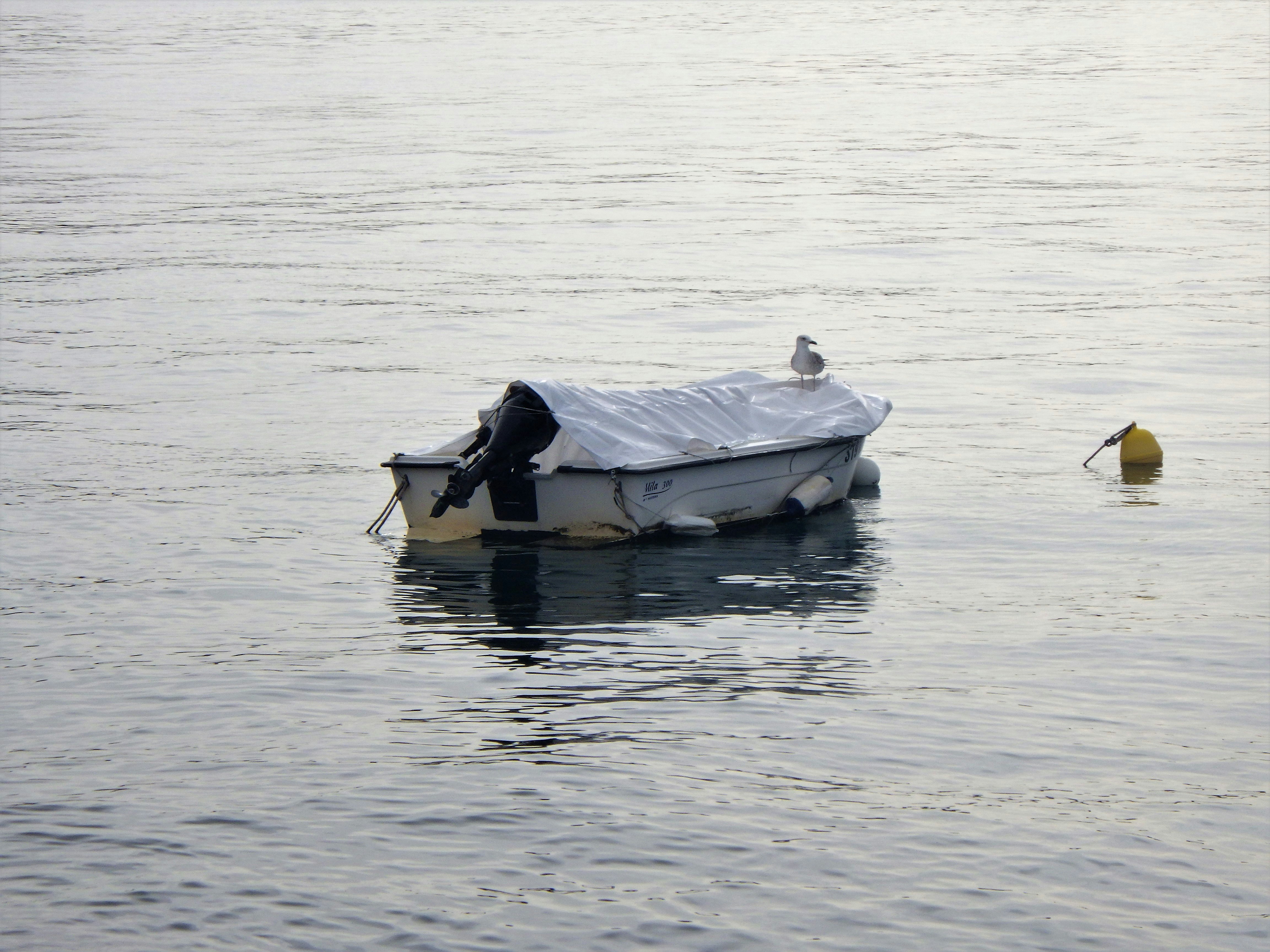 Photo by dominapetric