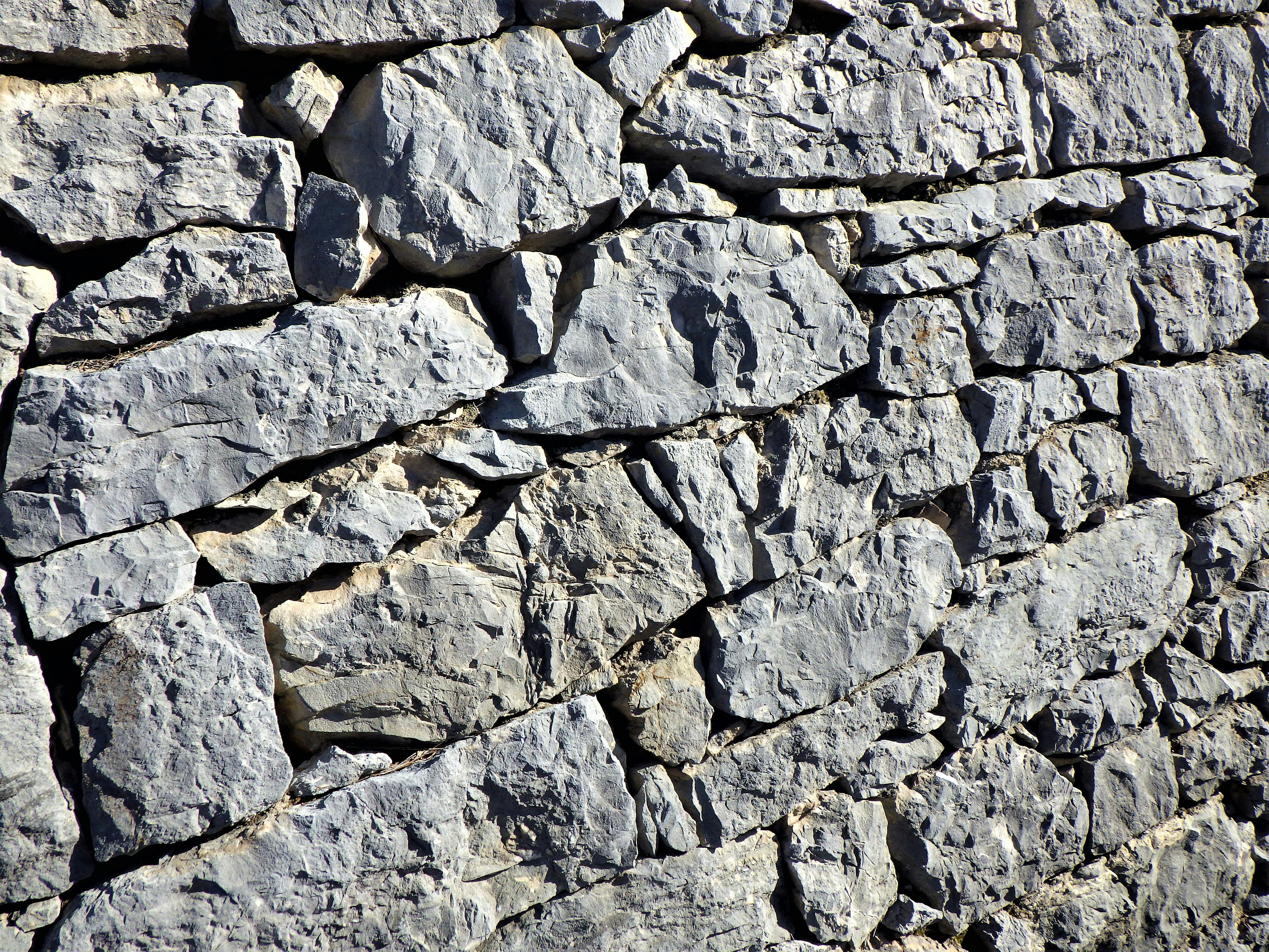 Photo by dominapetric