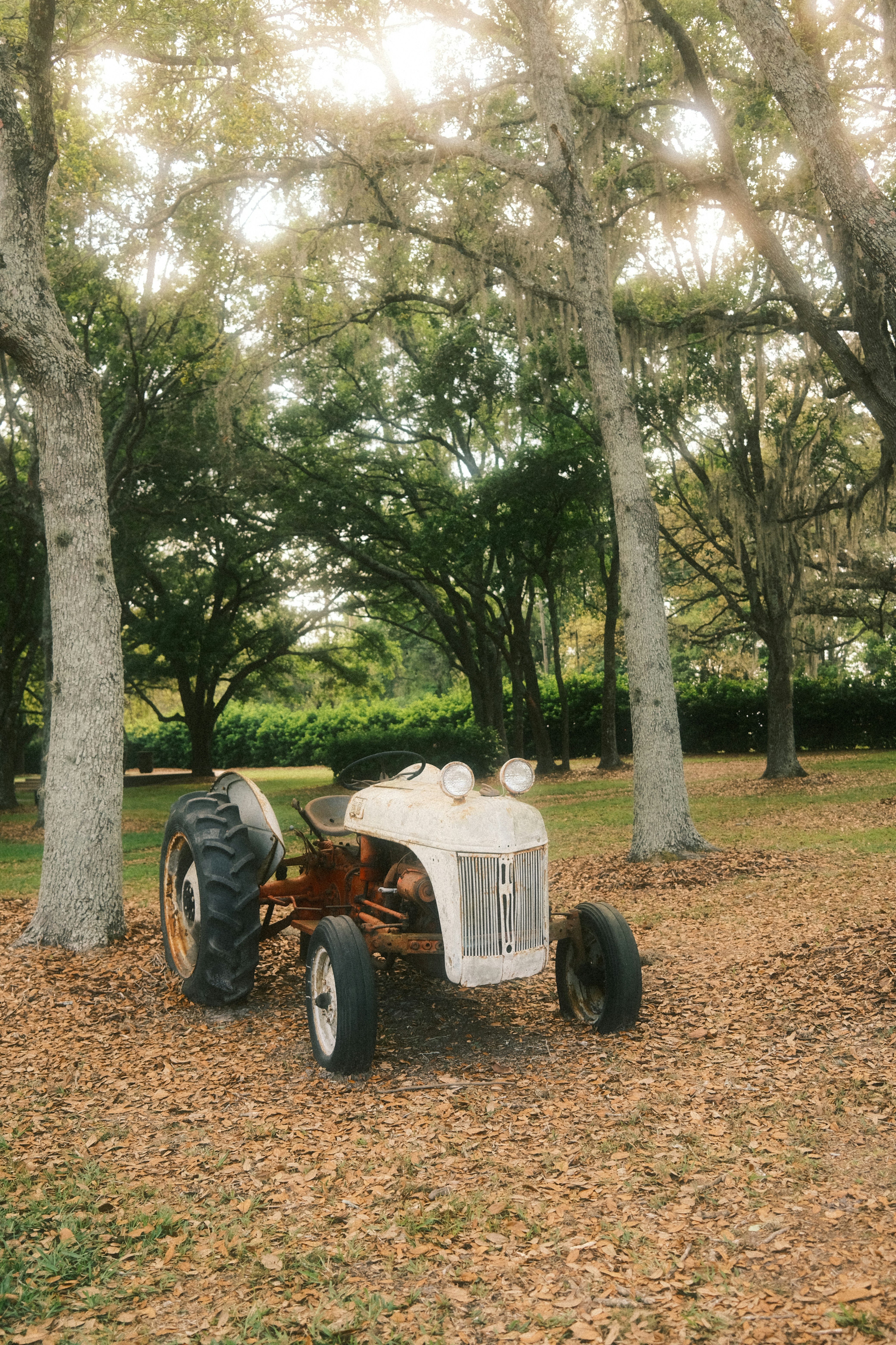 a white tractor sitting in the middle of a forest