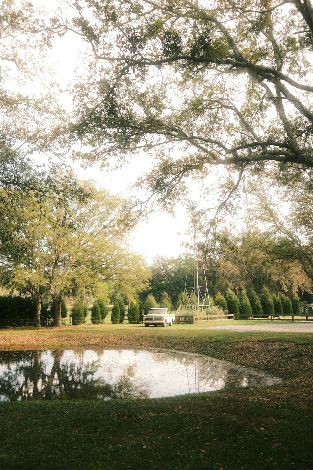 un estanque rodeado de árboles y un banco del parque