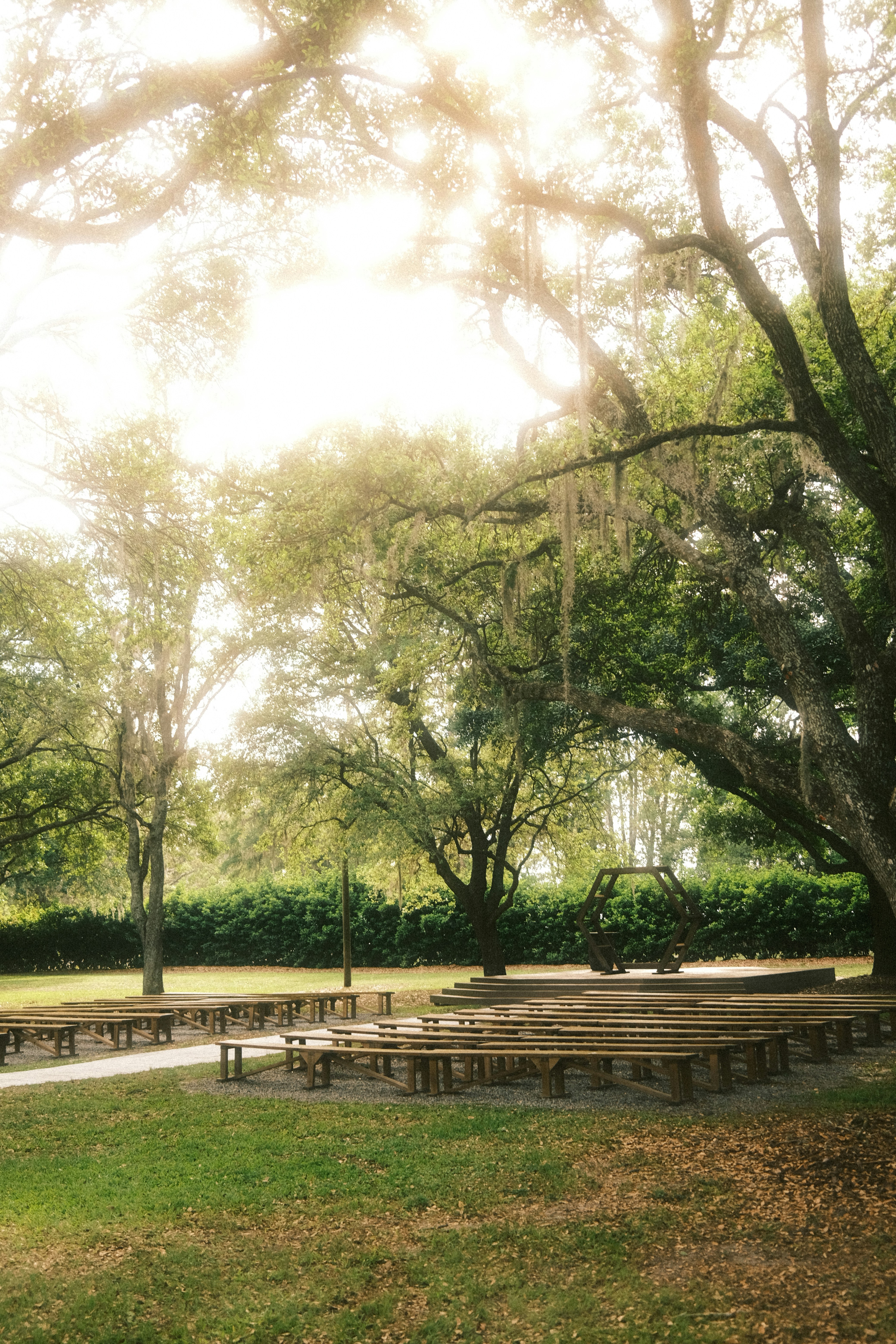 a park filled with lots of wooden benches