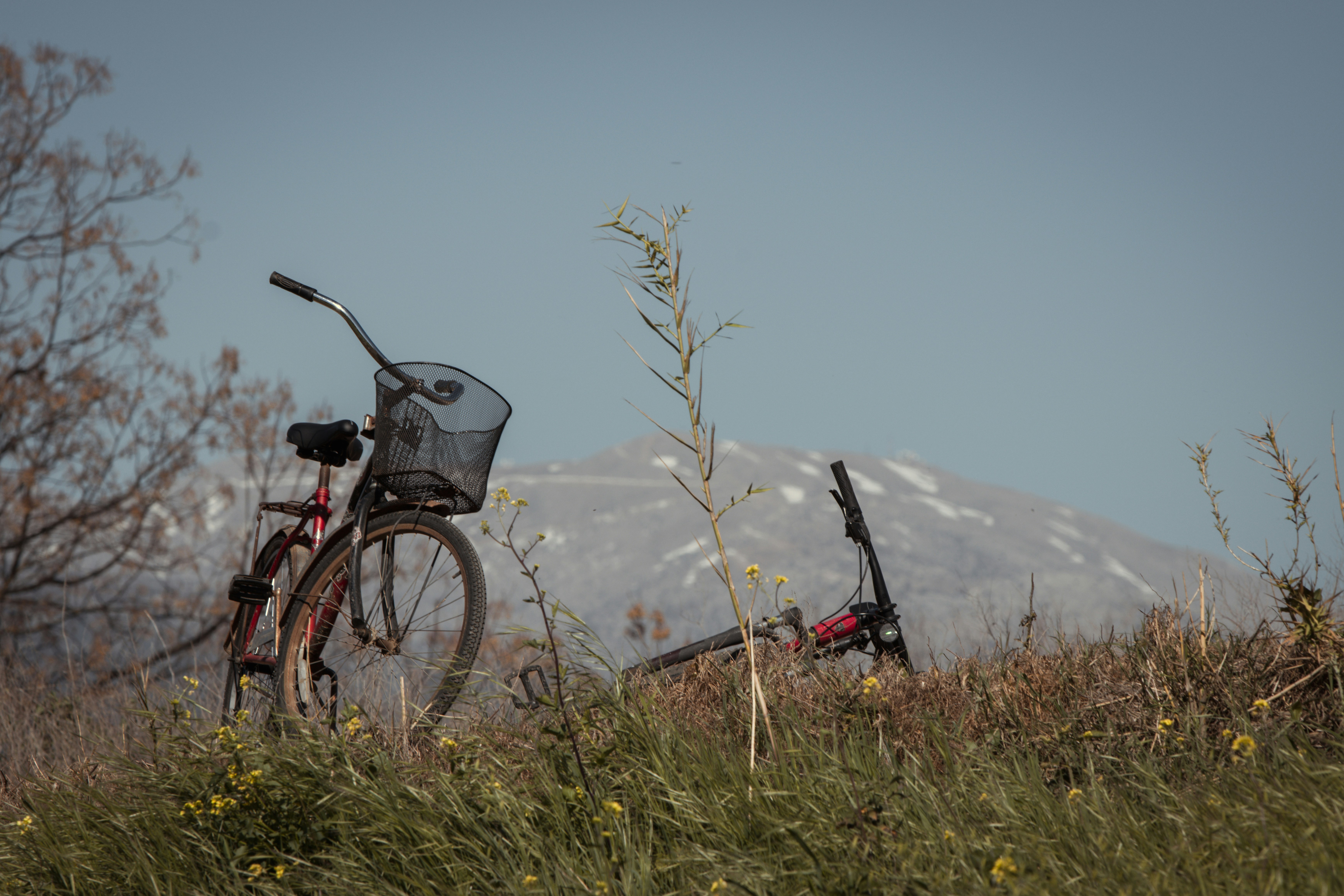a bicycle parked in a field with a mountain in the background