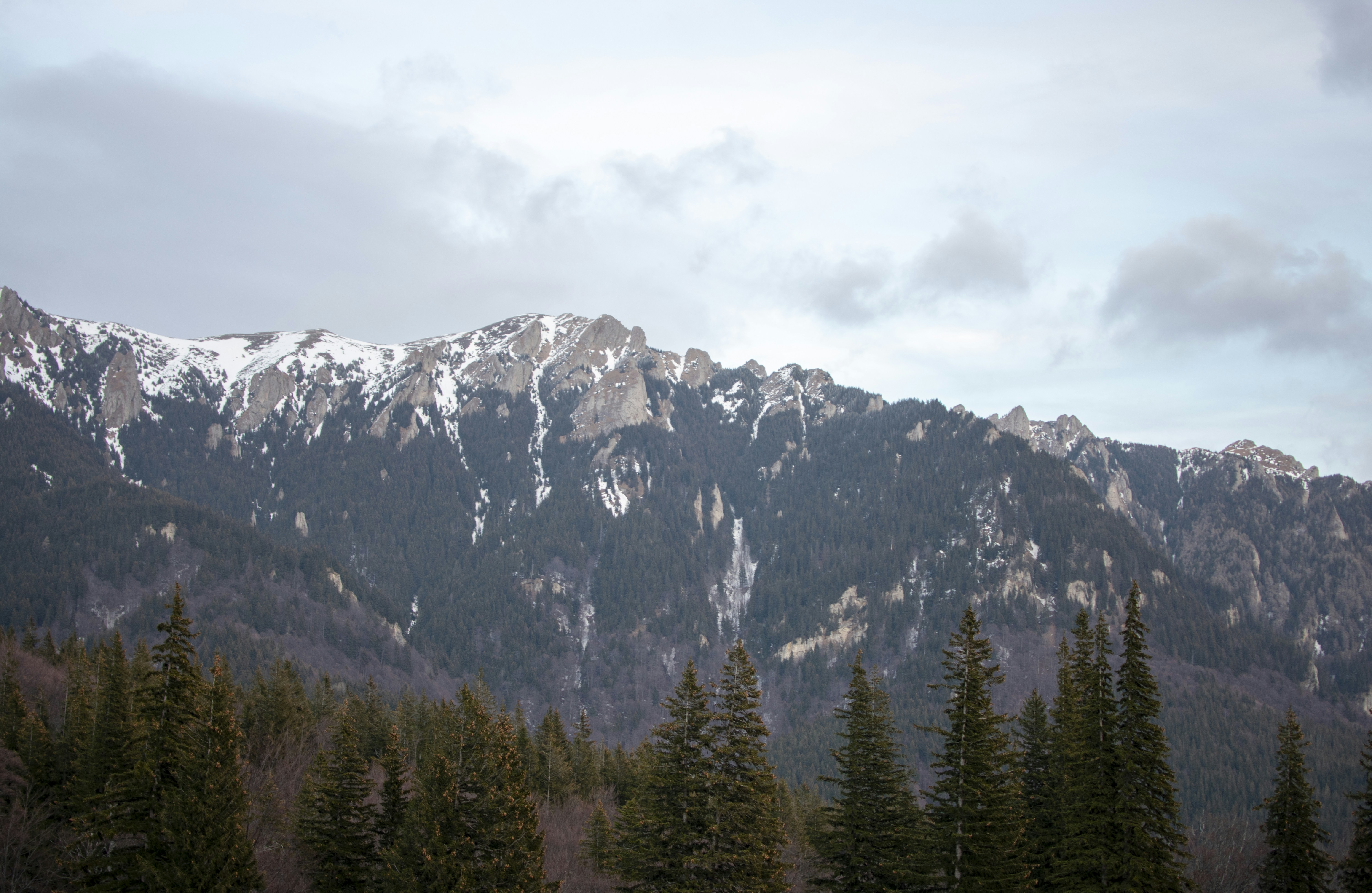 Photo by mirceadrian