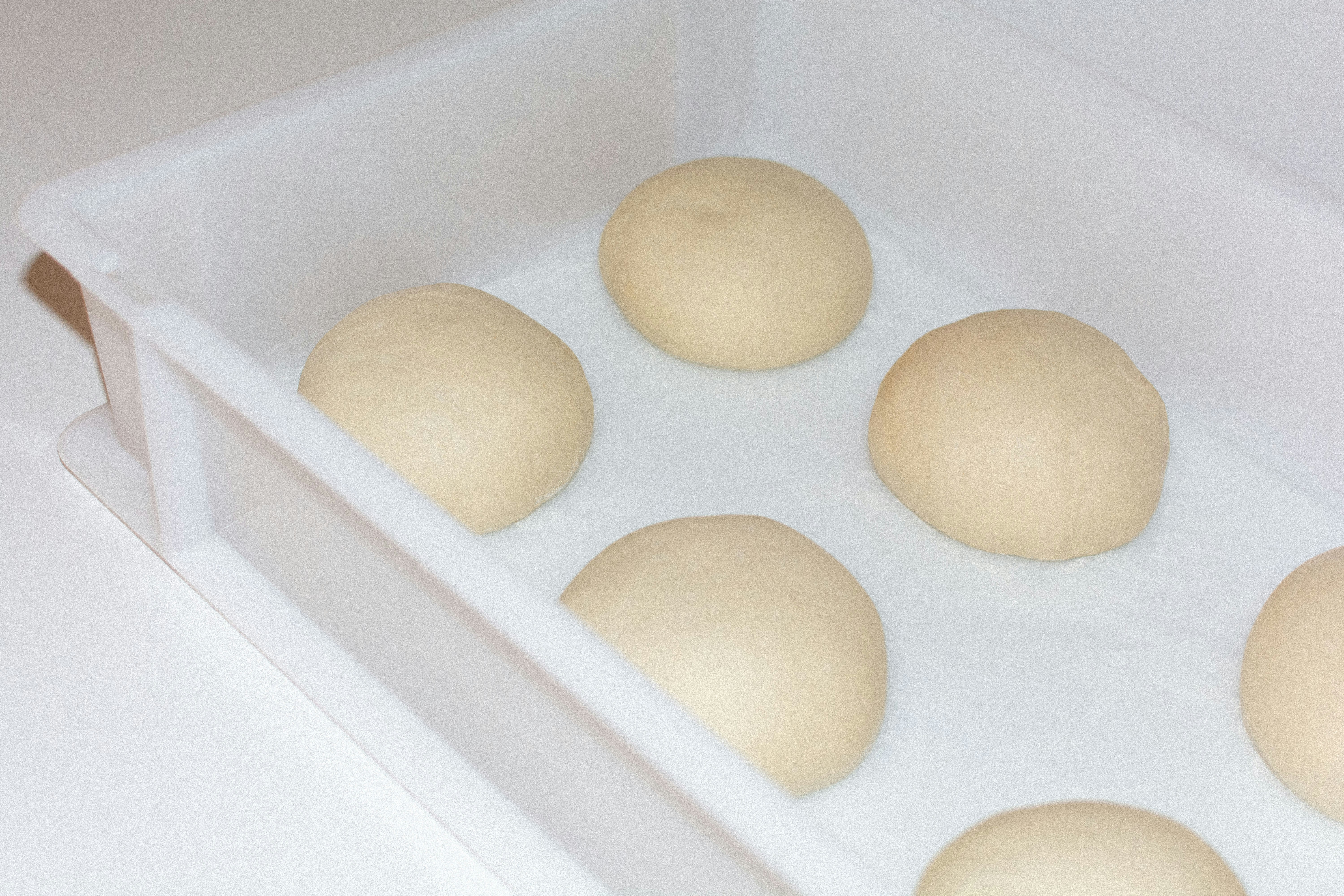 The Pizza Dough