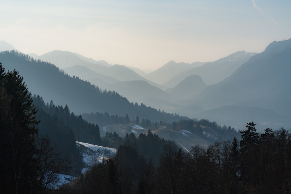 a view of a mountain range with trees in the foreground