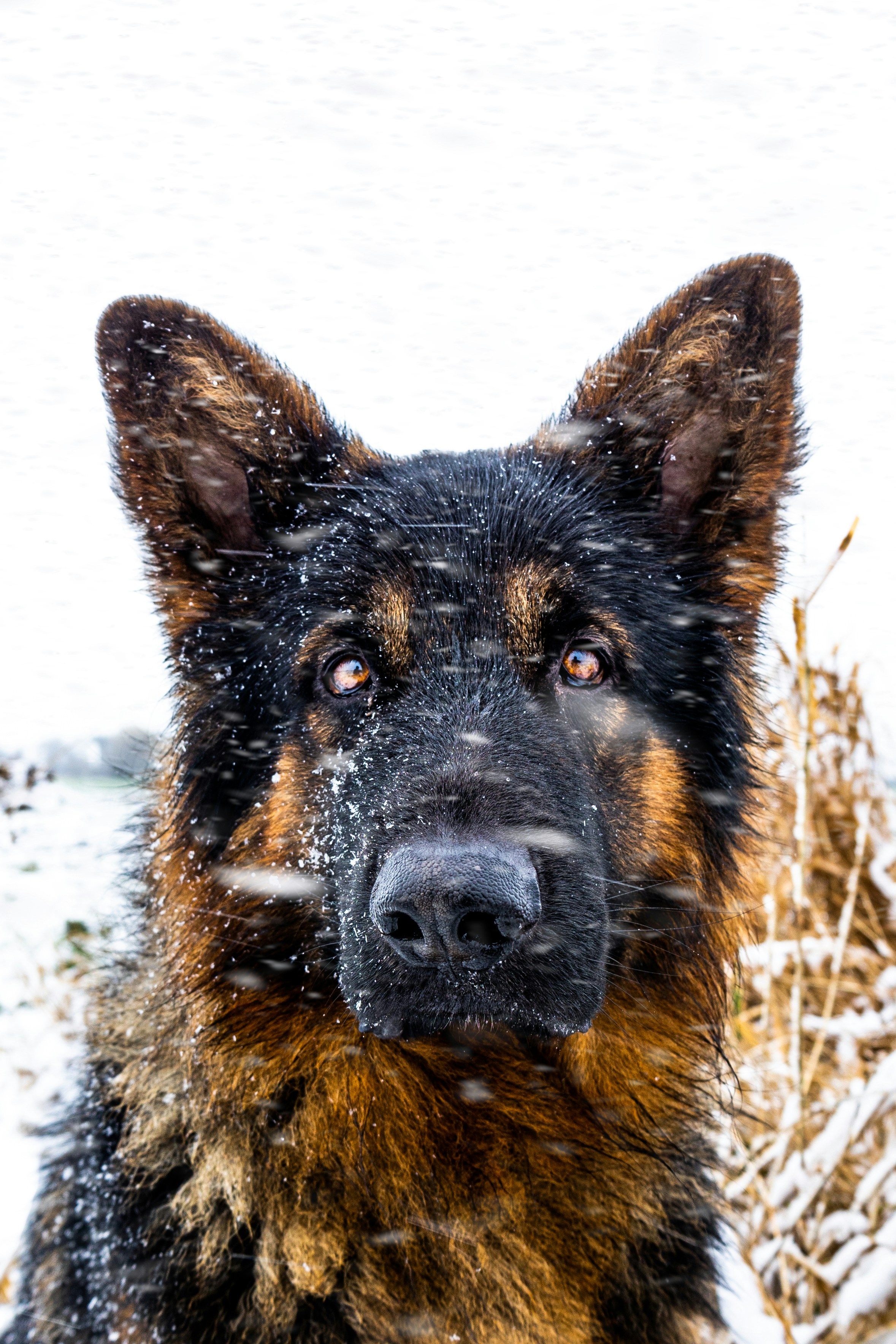 Photo by wannesdemol