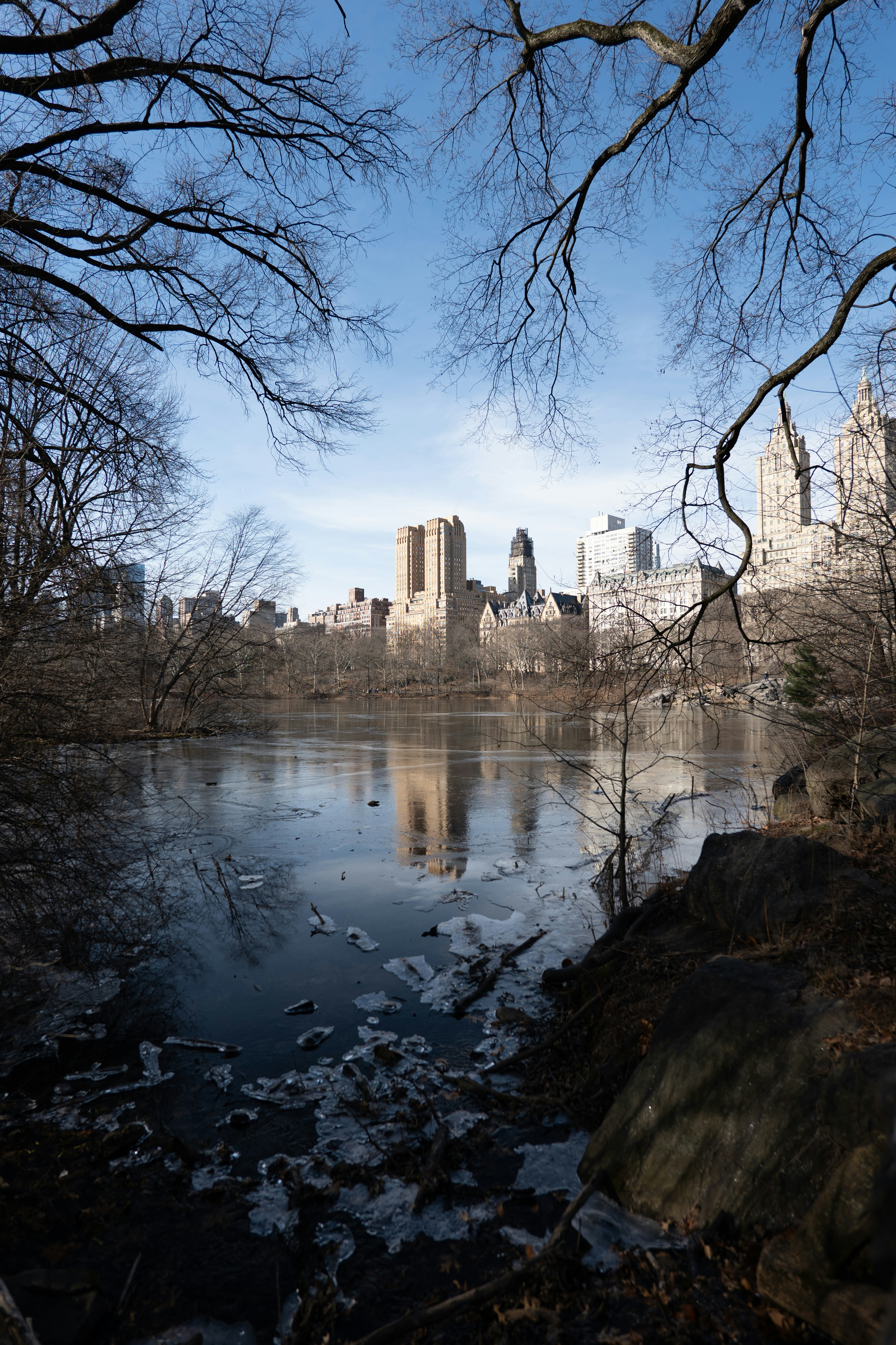 a body of water surrounded by trees and buildings