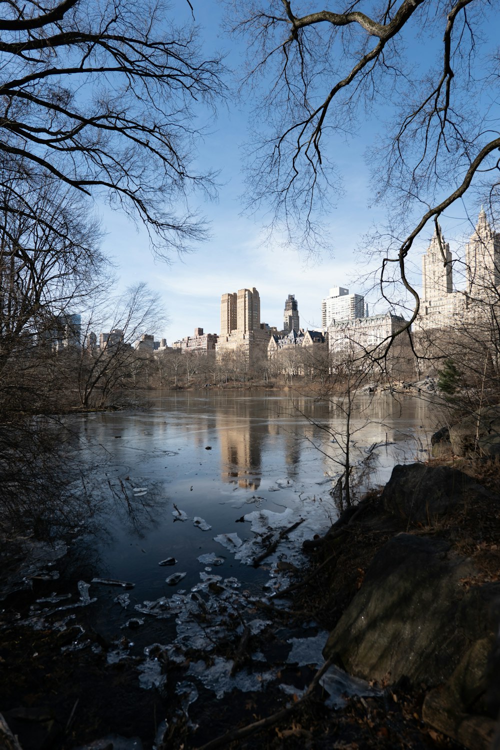 a body of water surrounded by trees and buildings