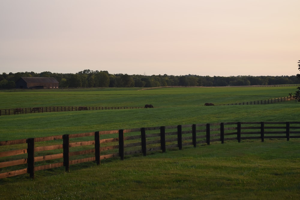 a field with a fence and a barn in the distance