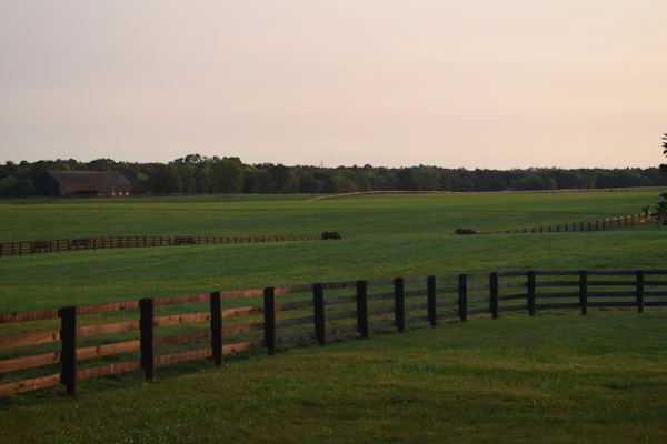 Kentucky Horse Park
