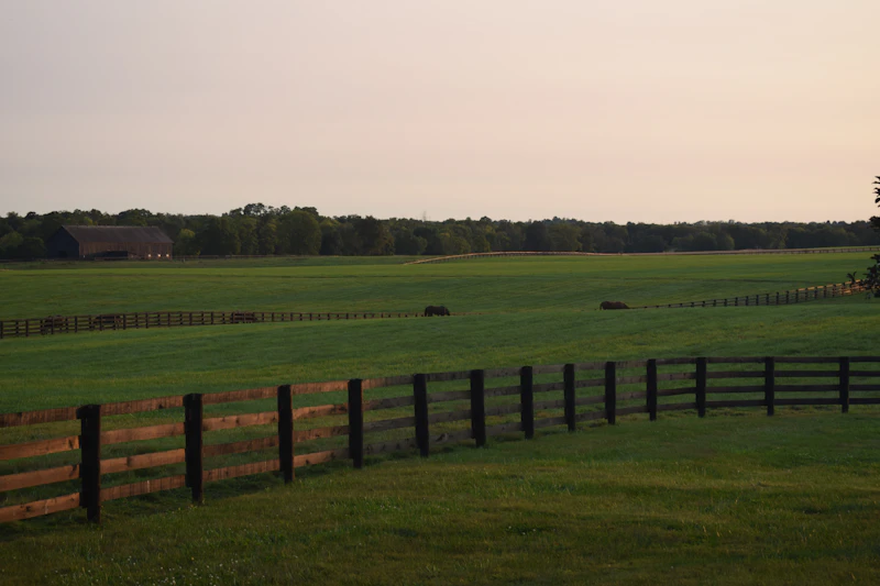 Lexington Bluegrass