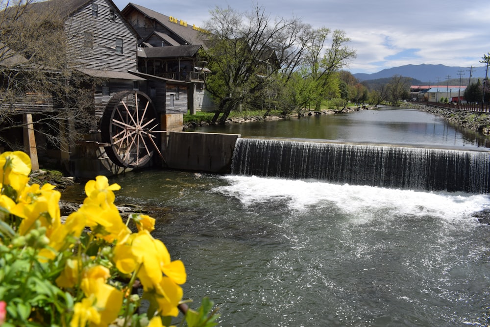 a water mill with yellow flowers in front of it