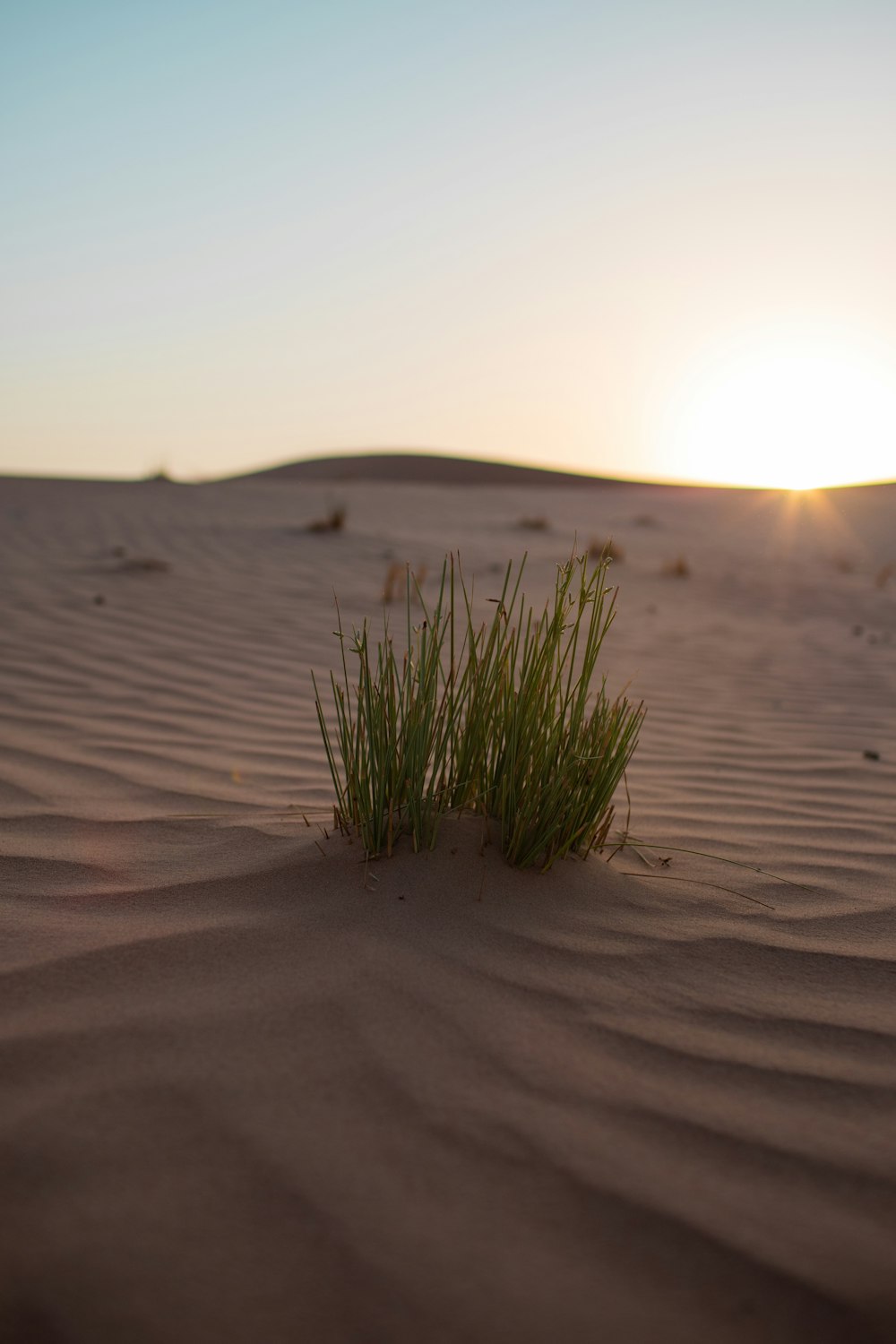 o sol está se pondo sobre as dunas de areia