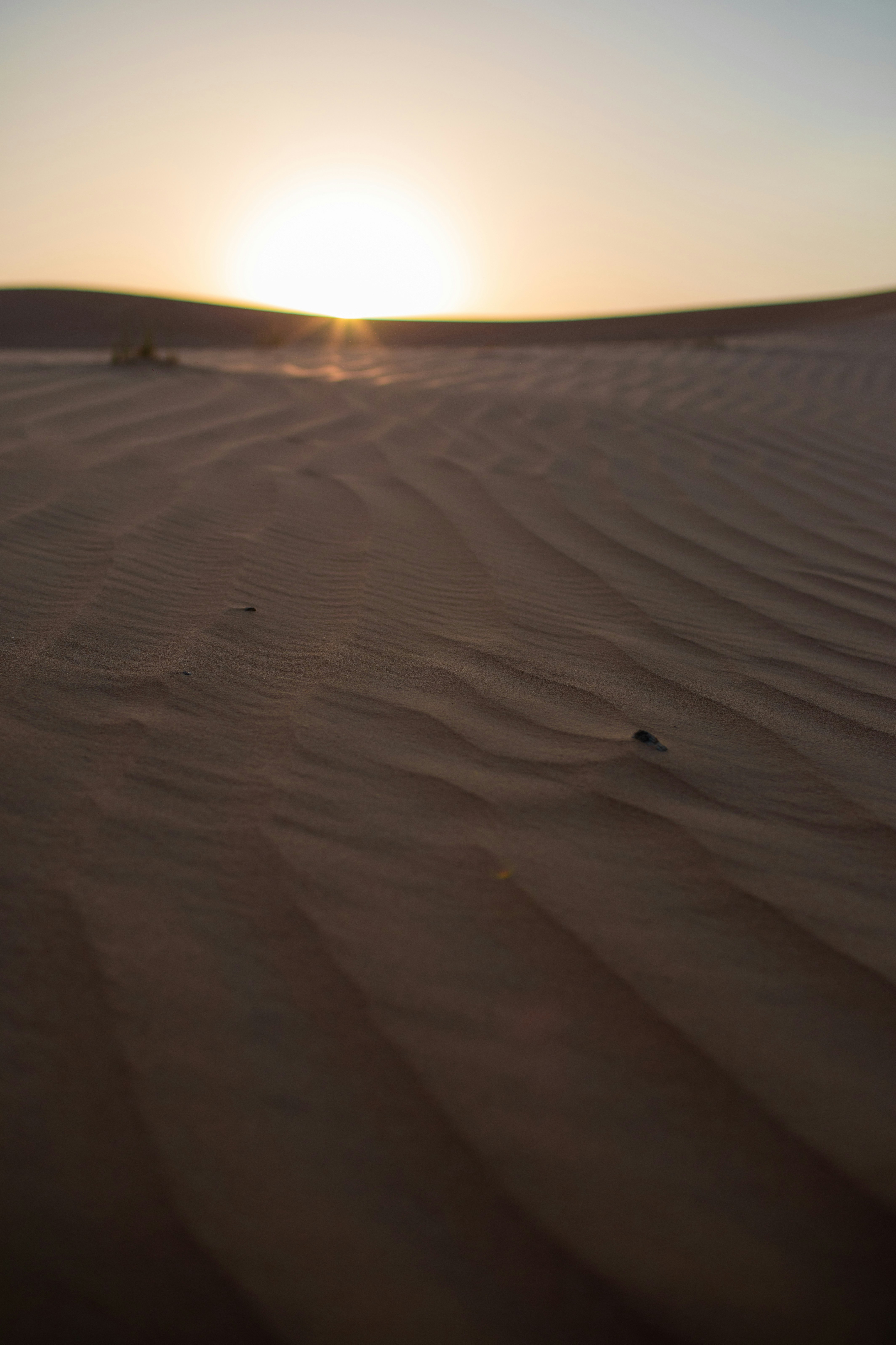 Photo by benjamin_deyoung