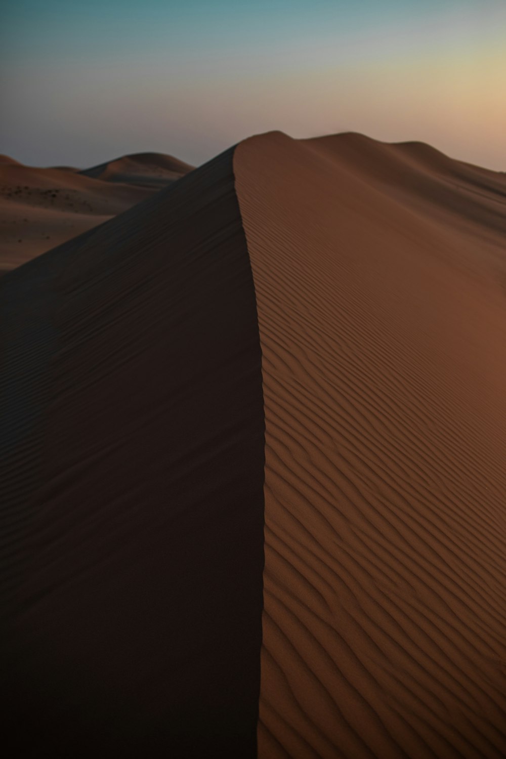 a person standing on top of a sand dune