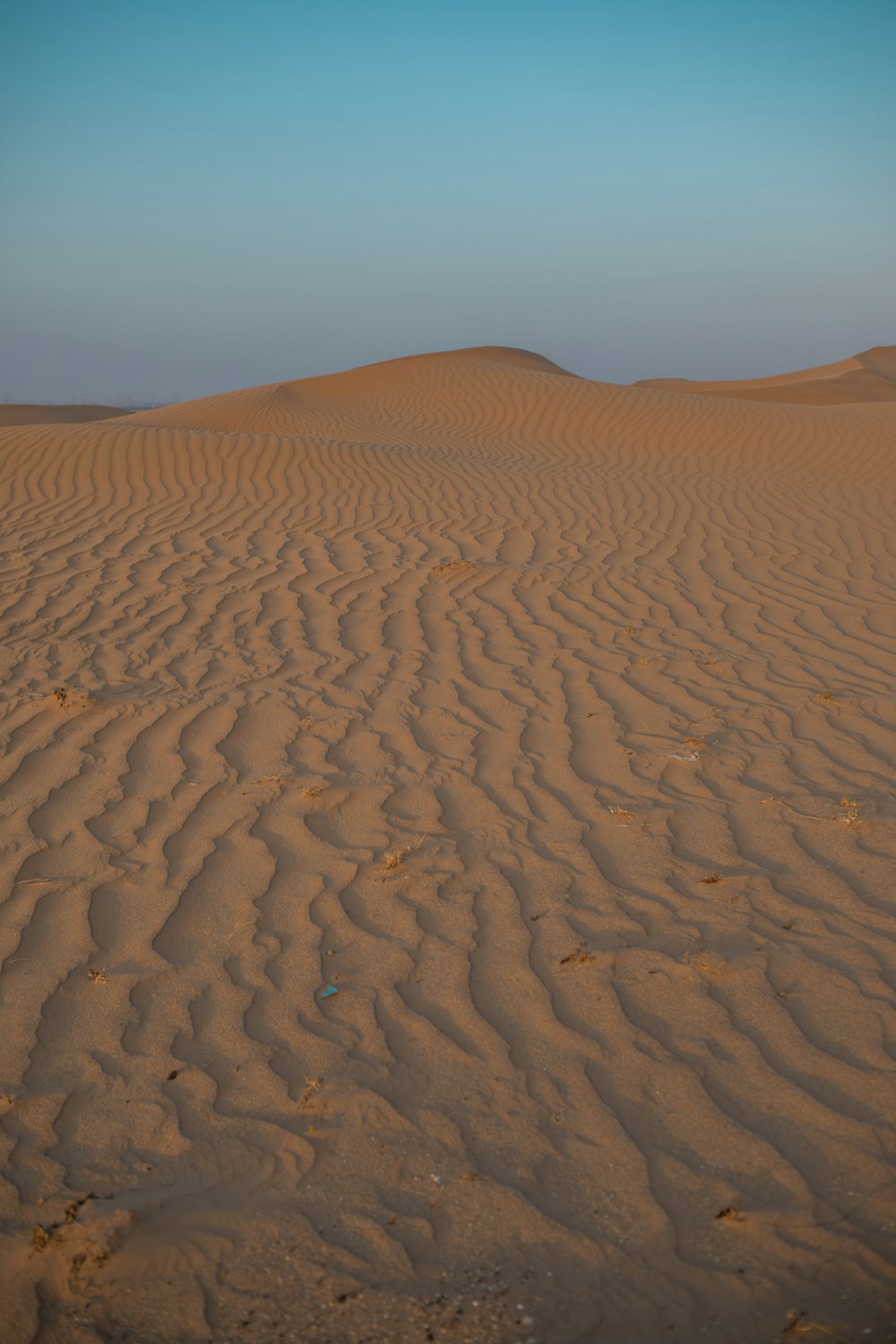 a sandy area with a blue sky in the background