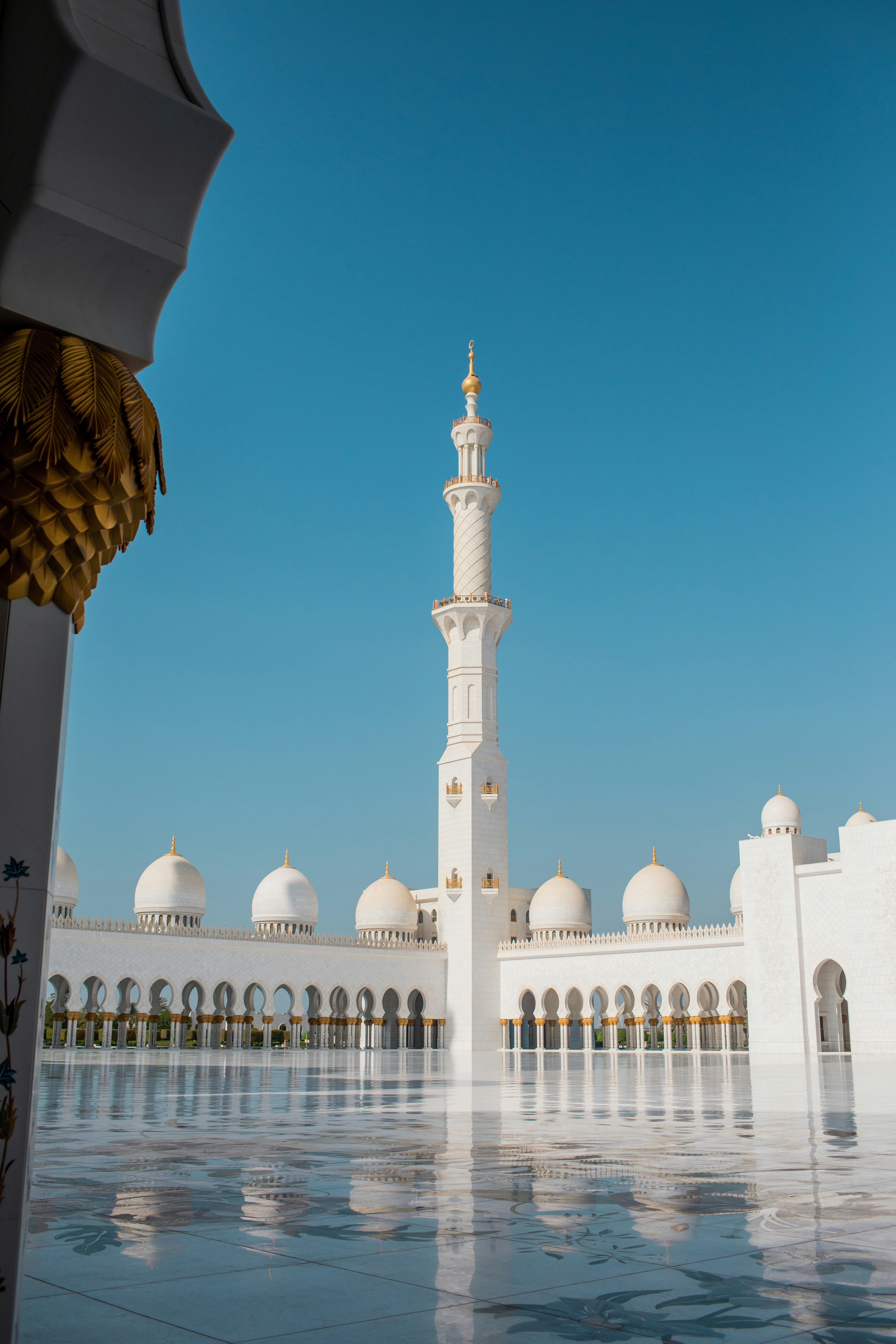 Photo by benjamin_deyoung