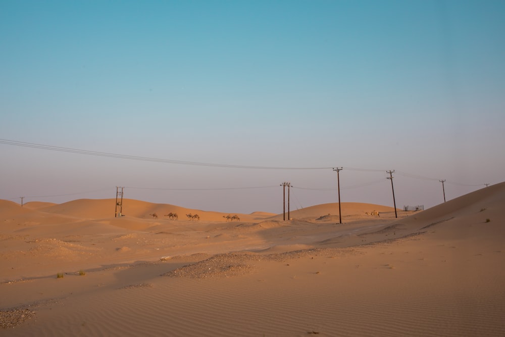 a desert with power lines in the distance