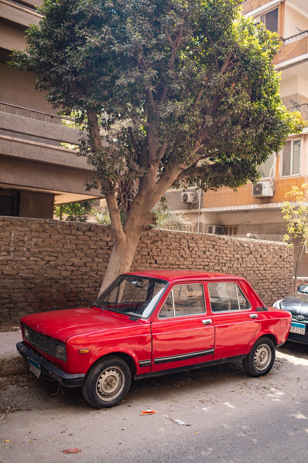 a red car parked next to a tree in a parking lot