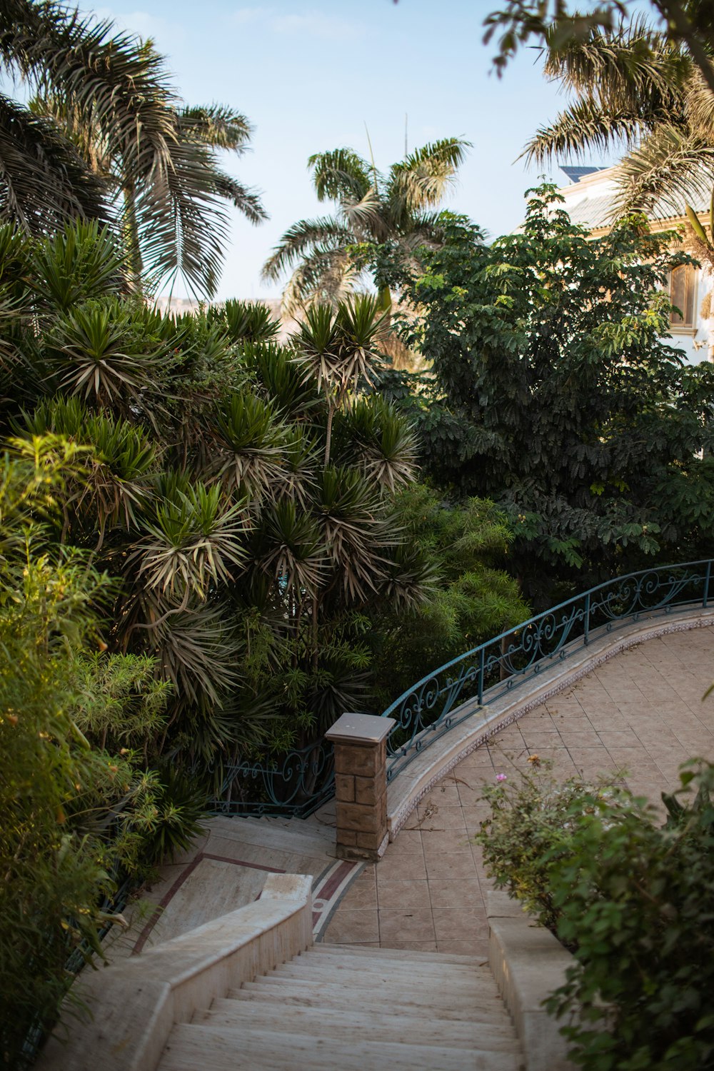 a view of a staircase with palm trees in the background