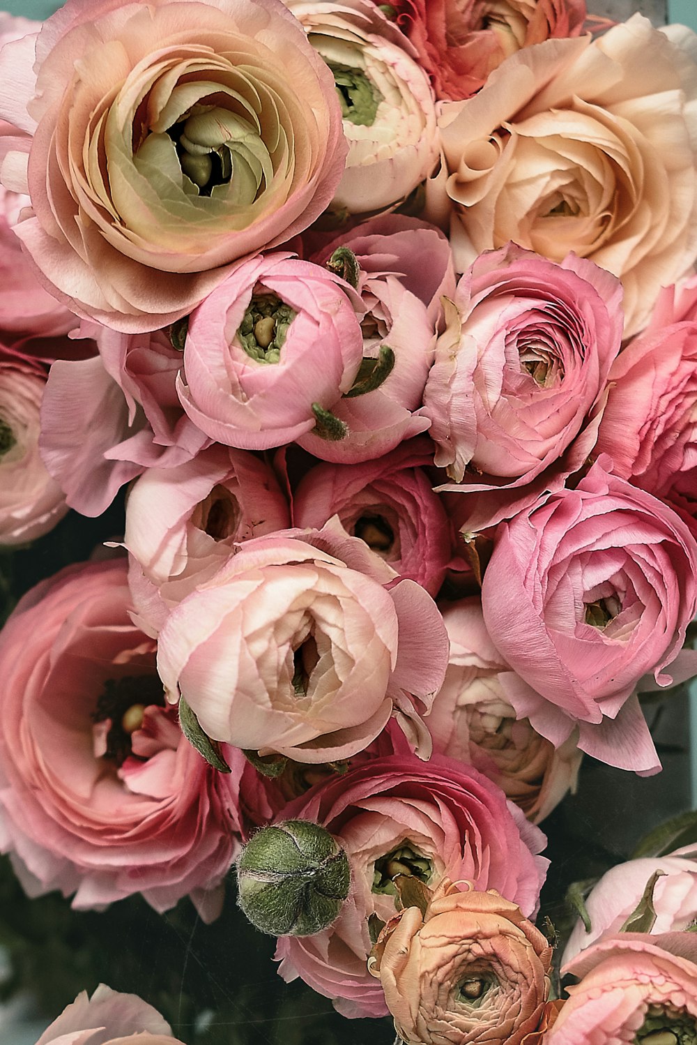 a bunch of pink flowers sitting on top of a table