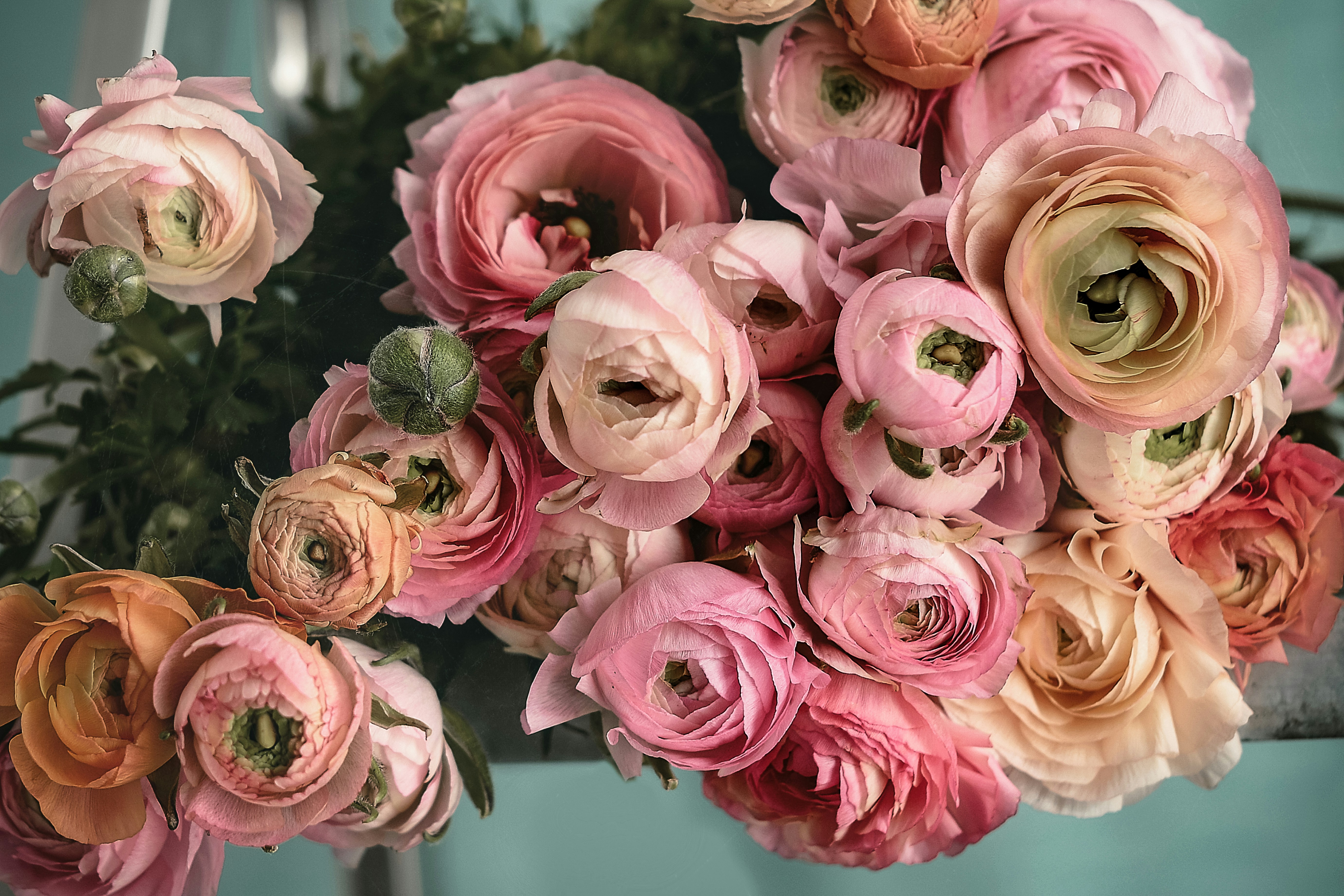 Photo by anitaaustvika