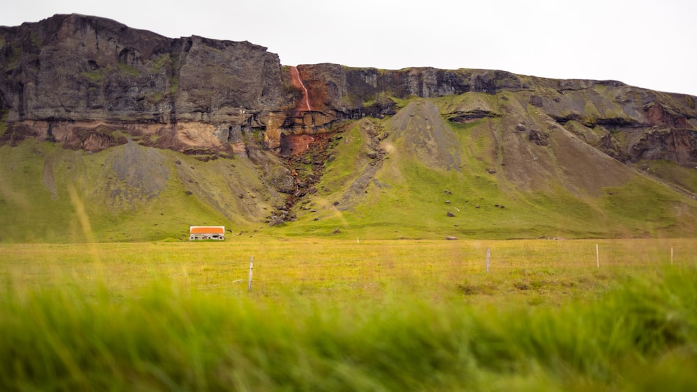 a grassy field with a mountain in the background