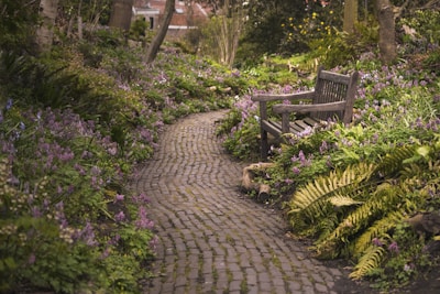 A peaceful garden corner with wildflowers and natural stone paths.