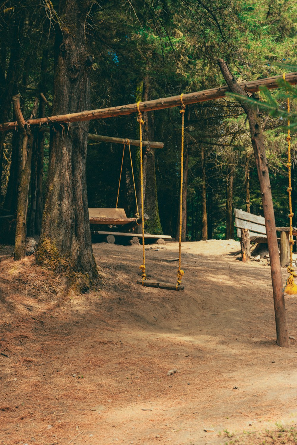 a swing set in the middle of a forest
